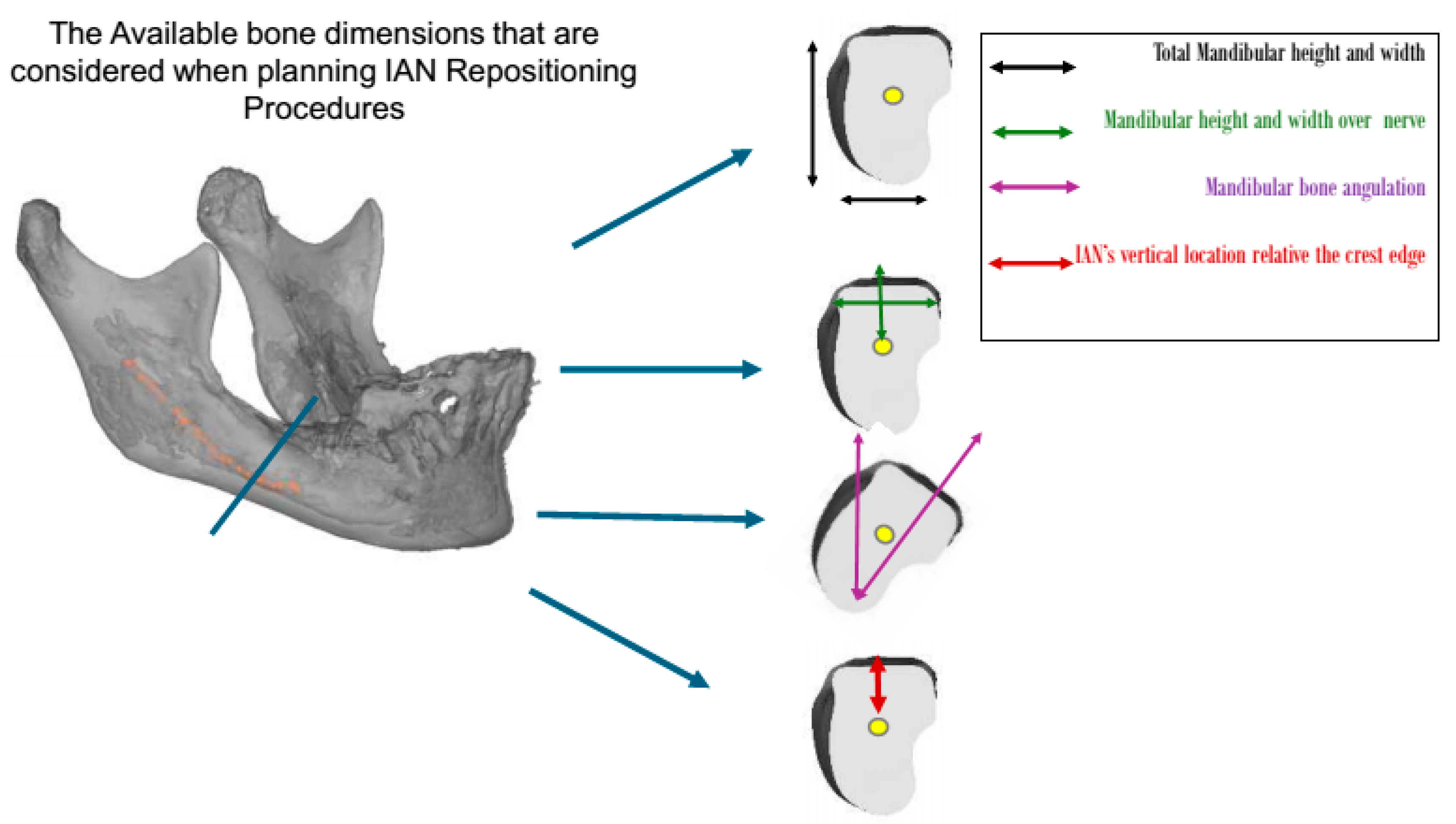 Dentistry 13 00267 g001