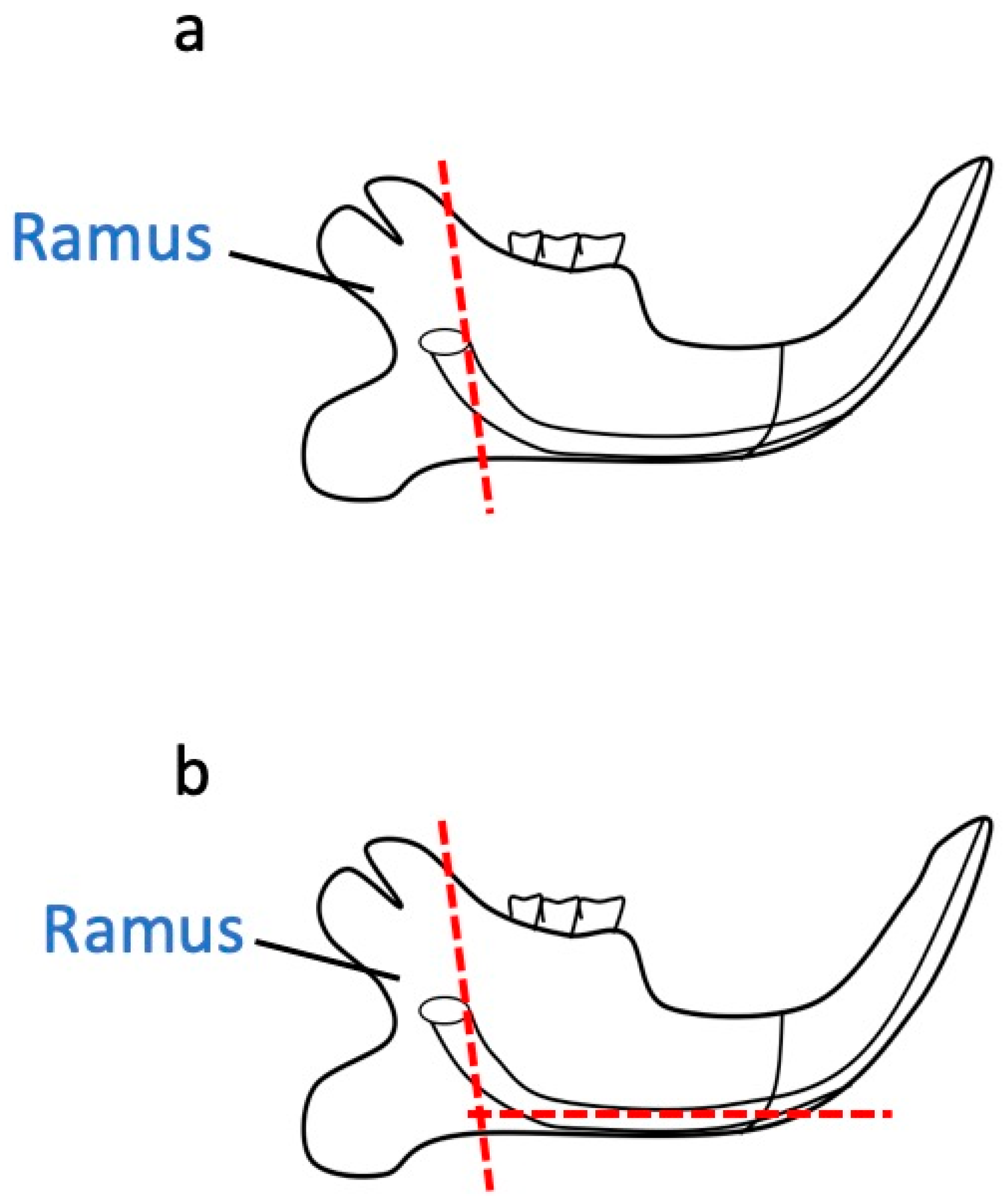 Dentistry 13 00270 g001