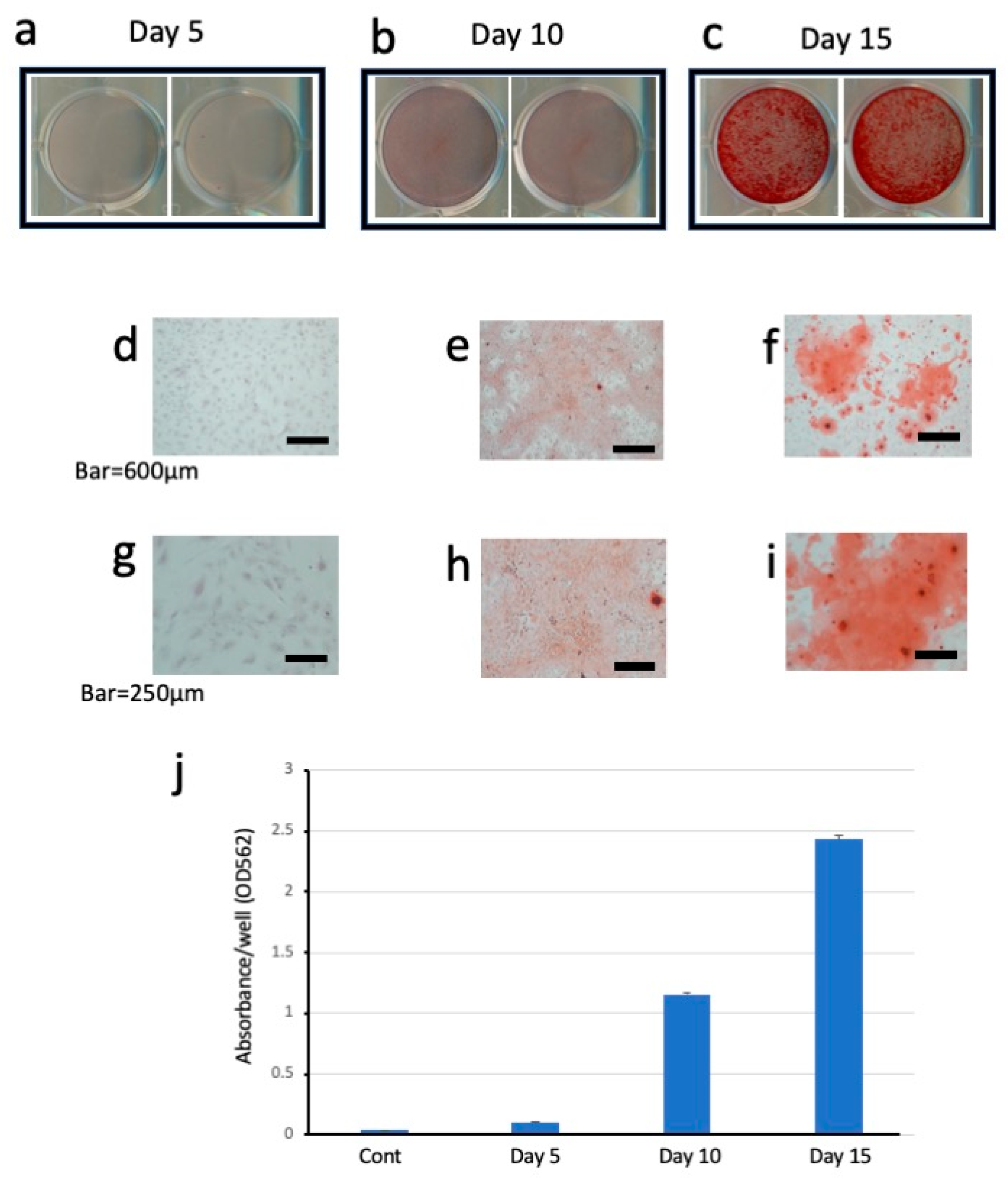 Dentistry 13 00270 g004