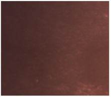 Dentistry 13 00277 i018