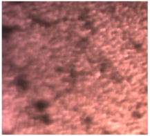 Dentistry 13 00277 i019