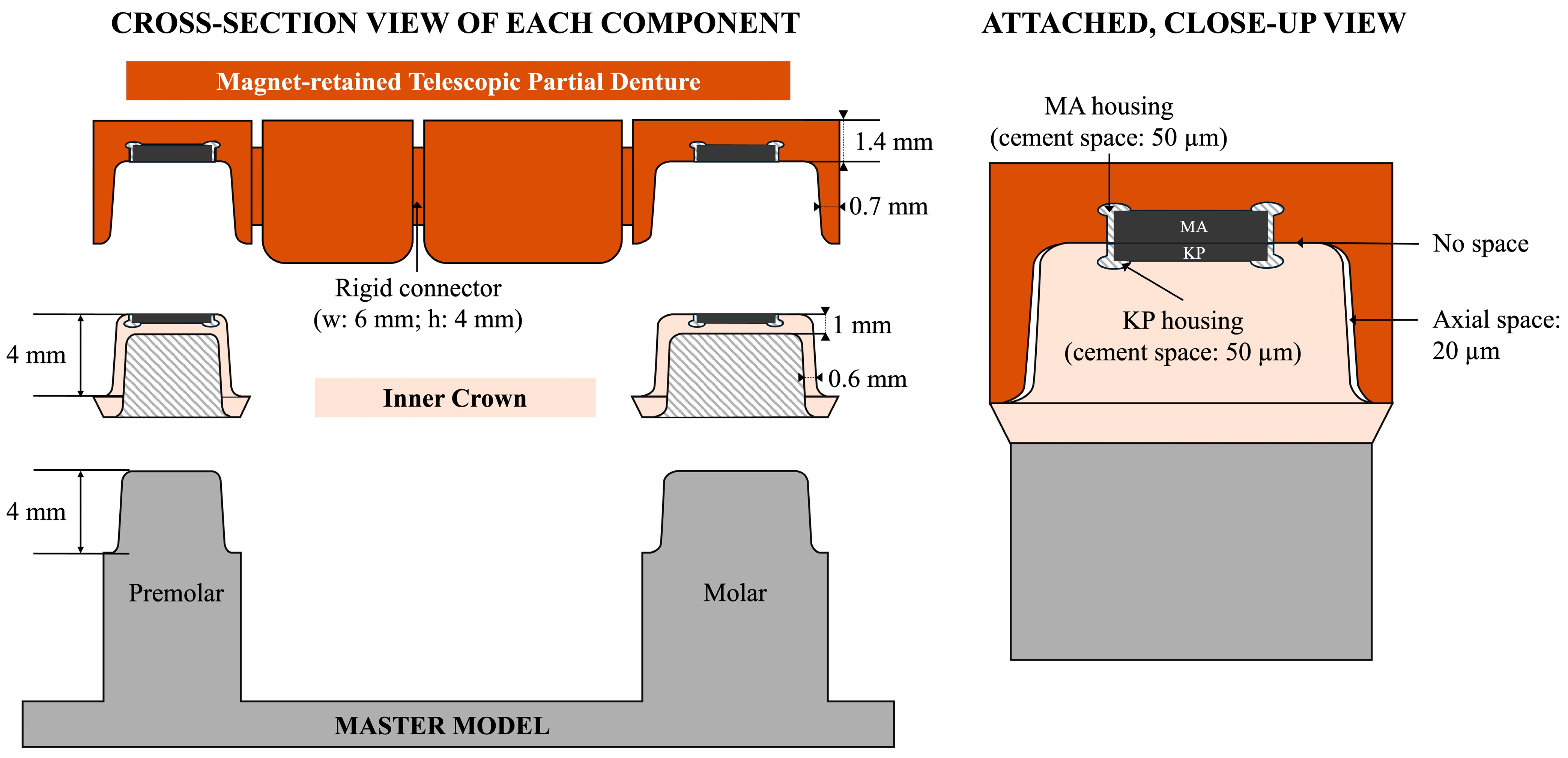 Dentistry 13 00278 g002