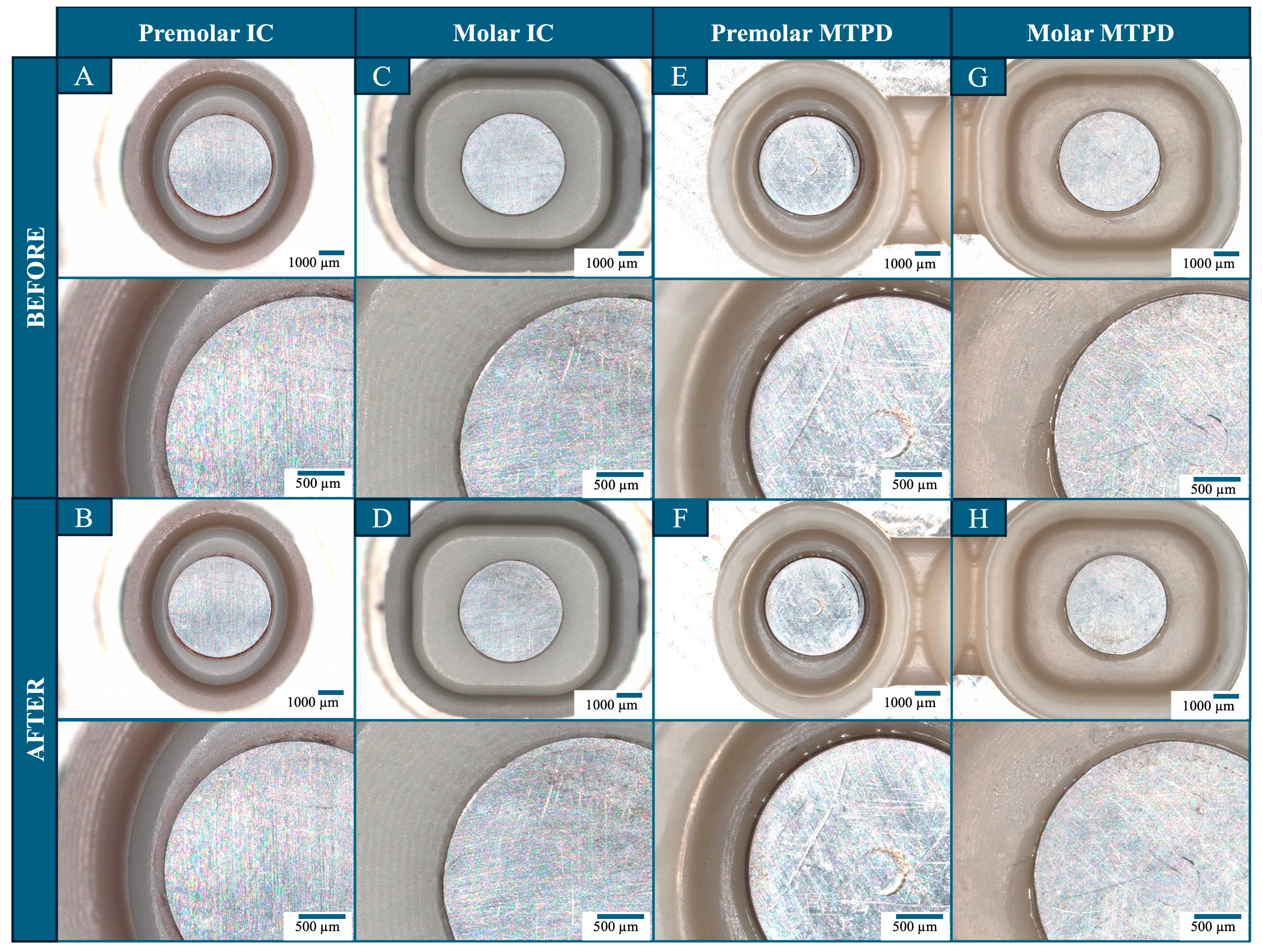 Dentistry 13 00278 g006