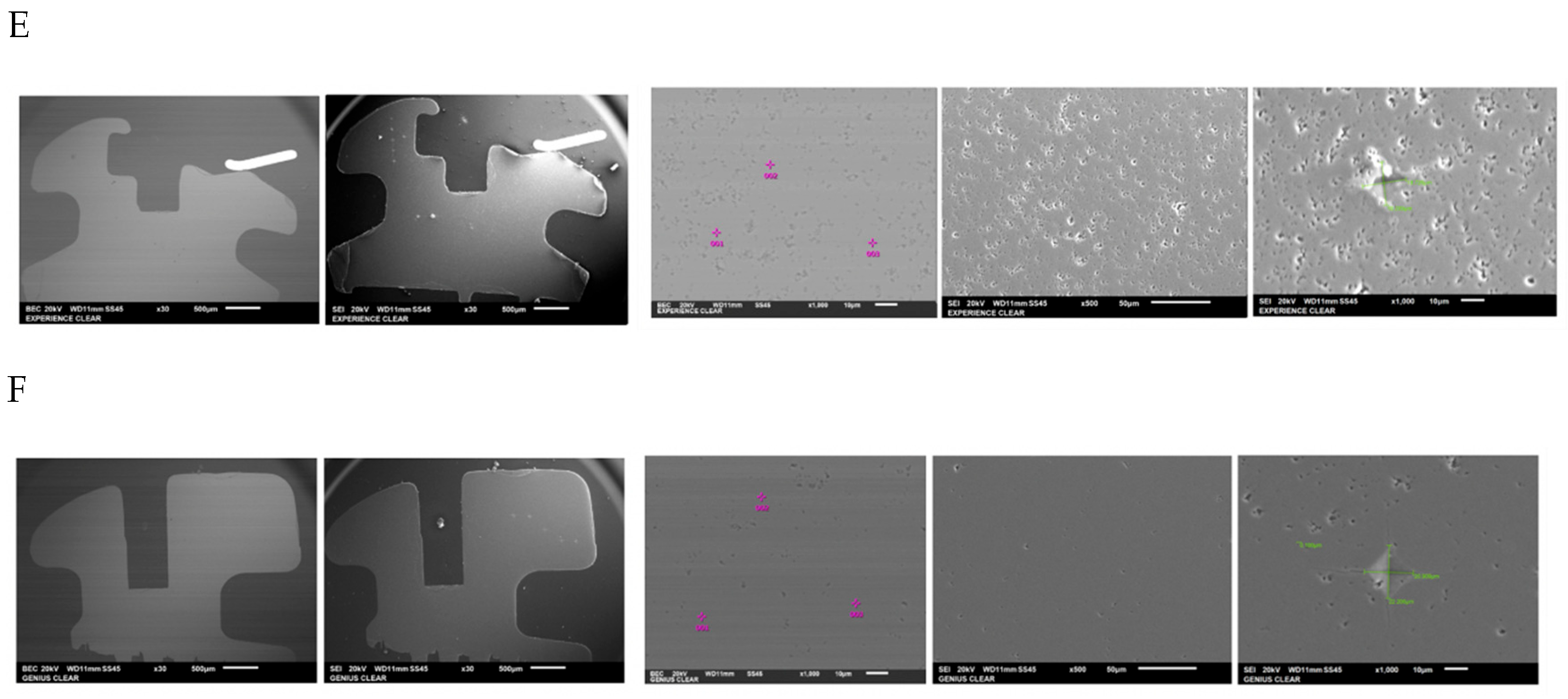 Dentistry 13 00285 g004b