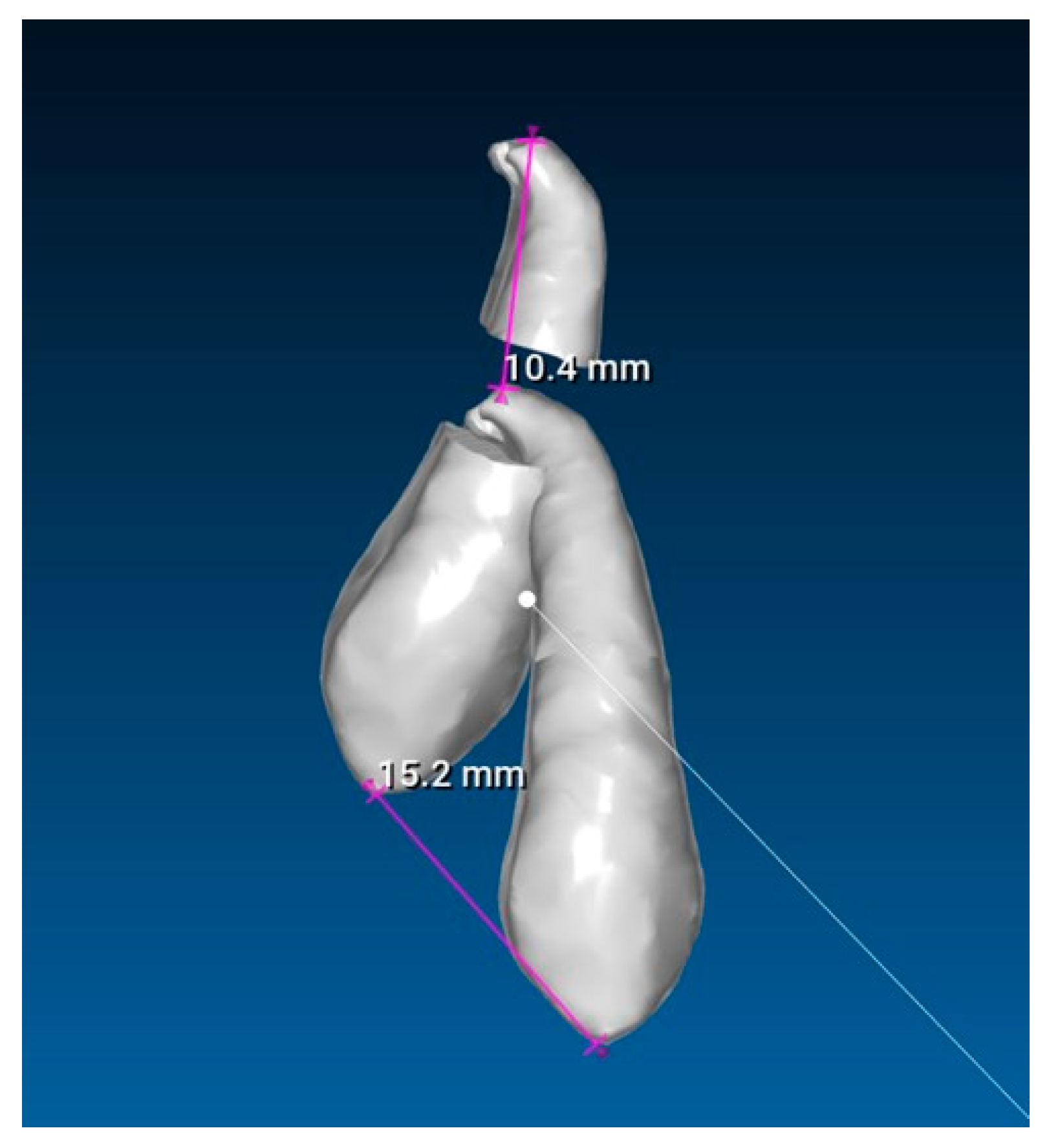 Dentistry 13 00286 g009