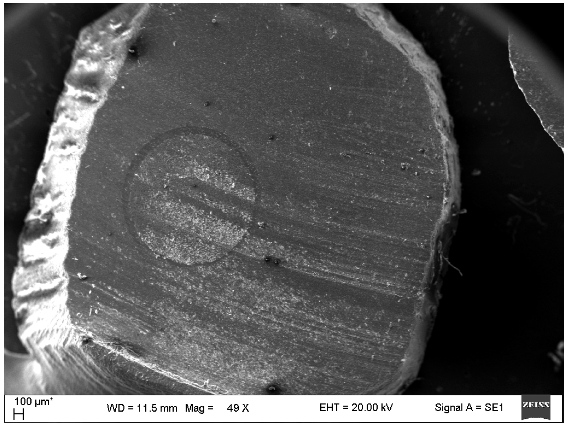 Dentistry 13 00290 g004 Dentistry 13 00290 g004
