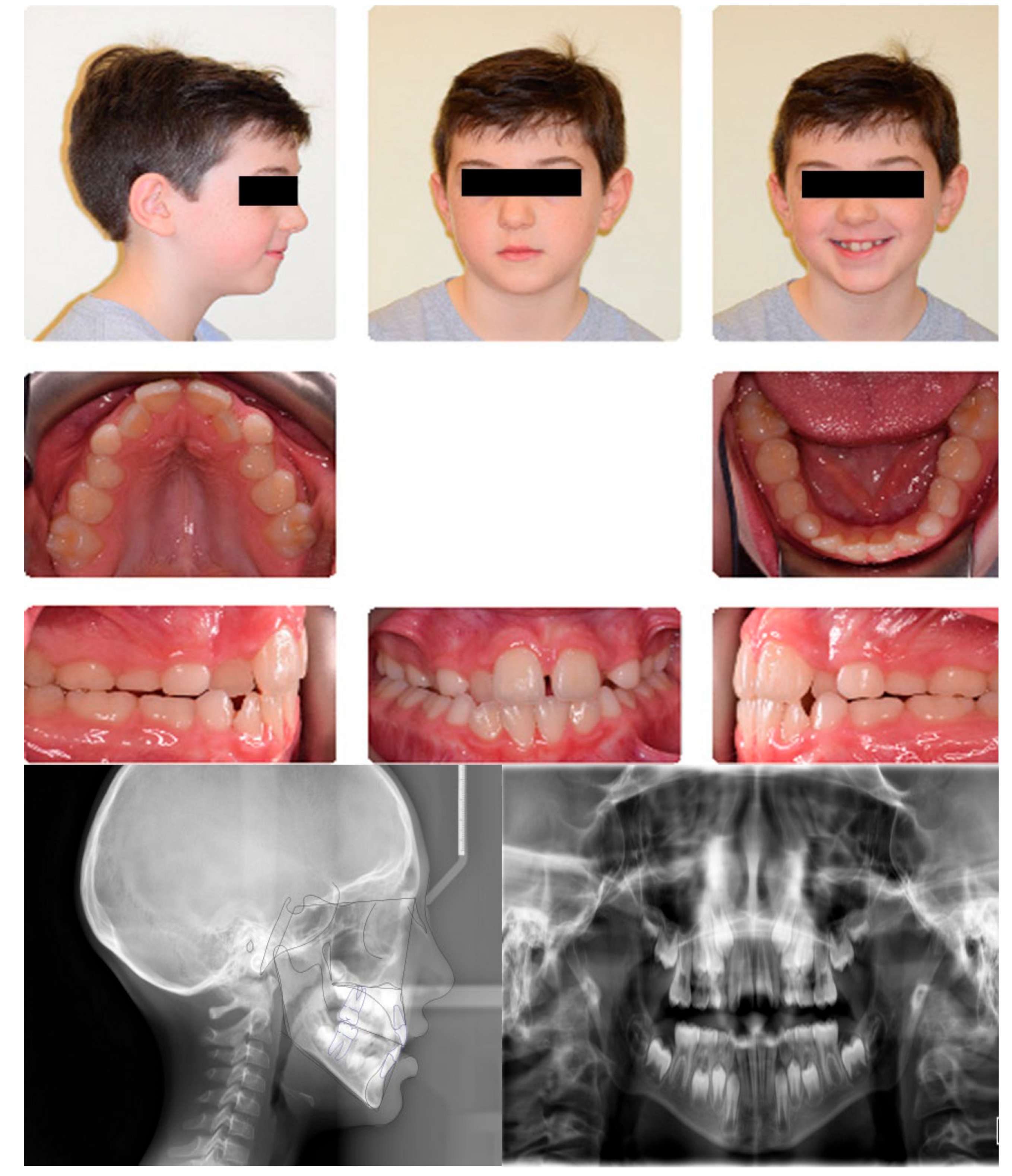 Dentistry 13 00300 g0a1