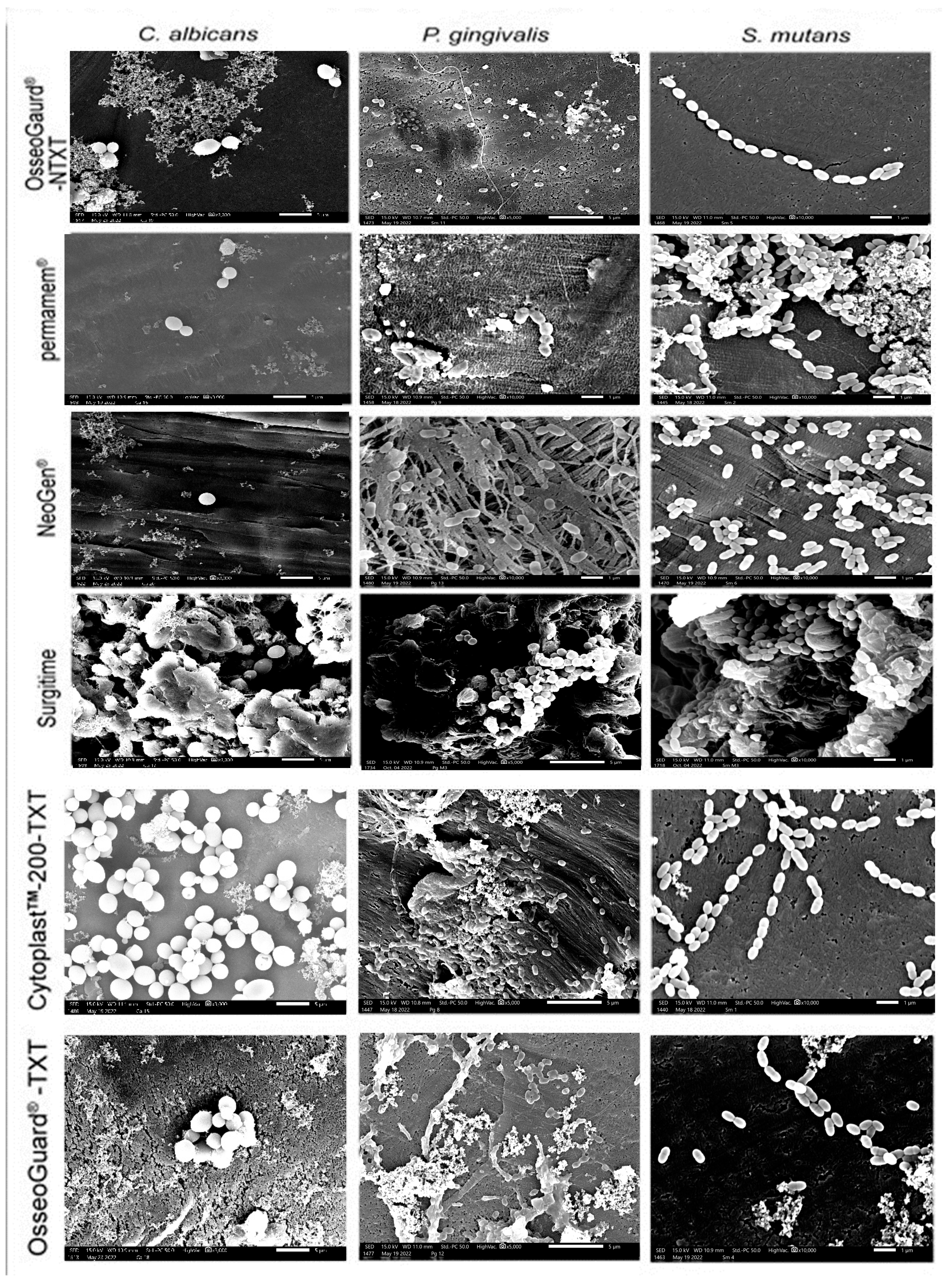 Dentistry 13 00301 g003
