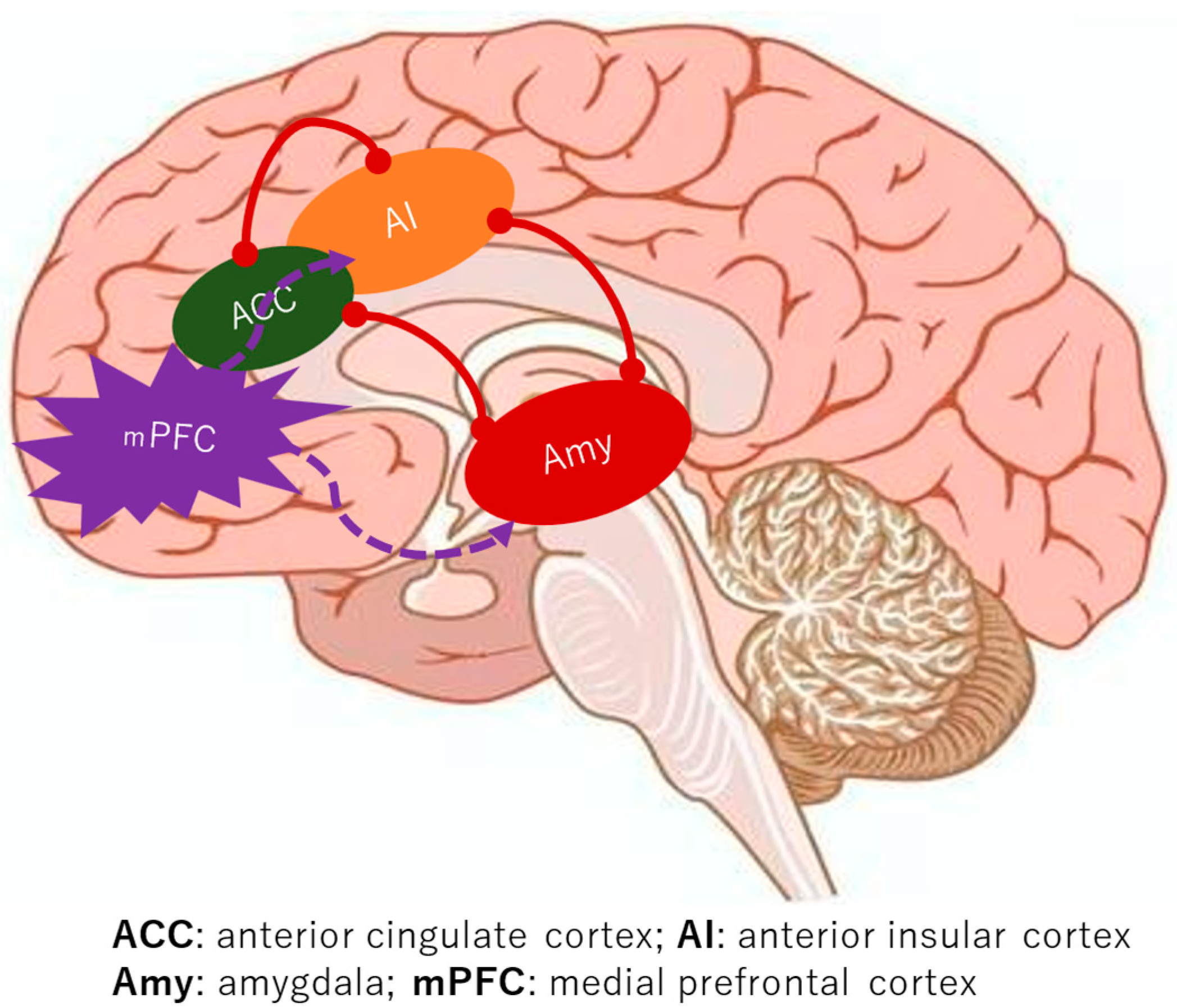Dentistry 13 00304 g002