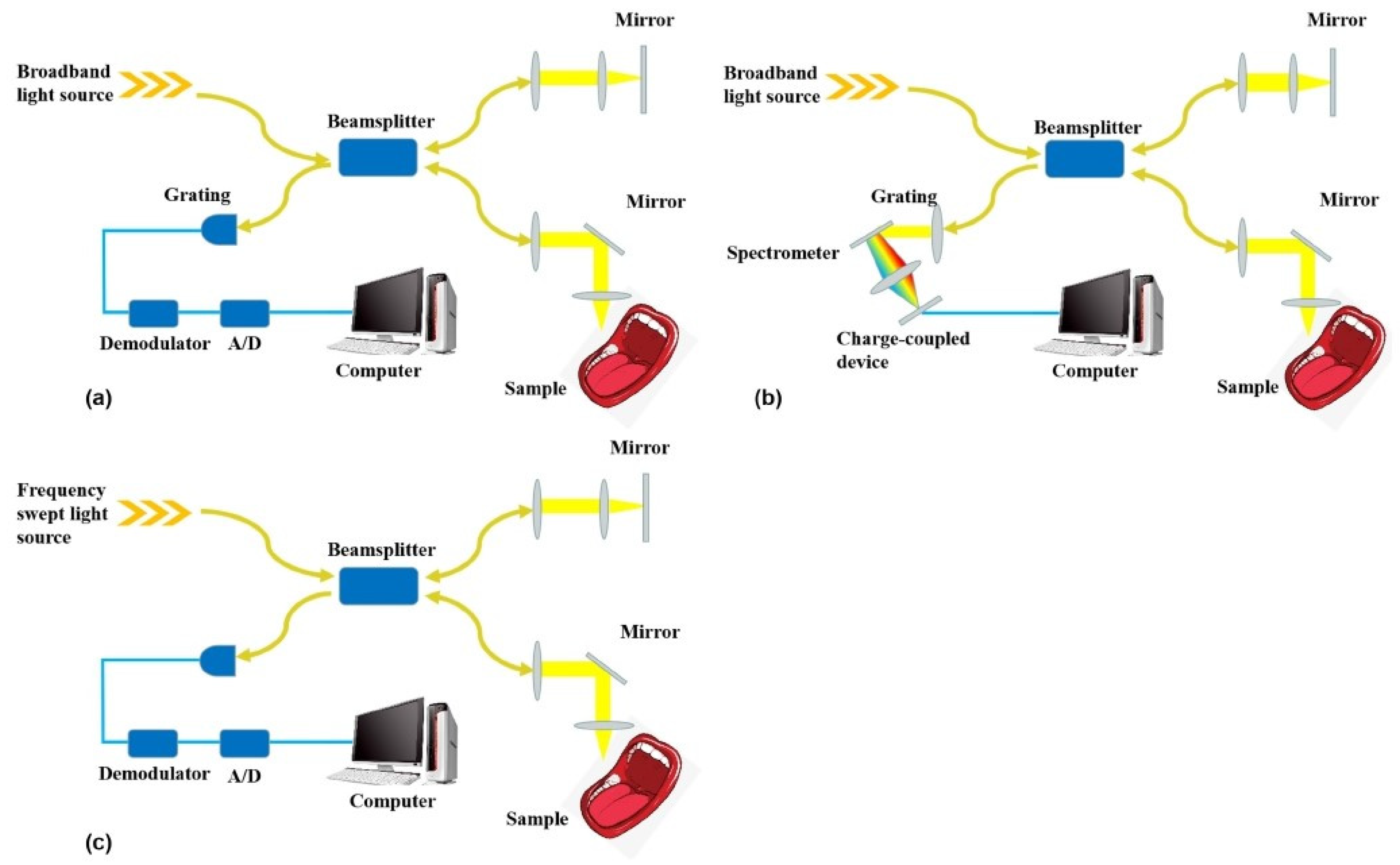 Dentistry 13 00305 g001