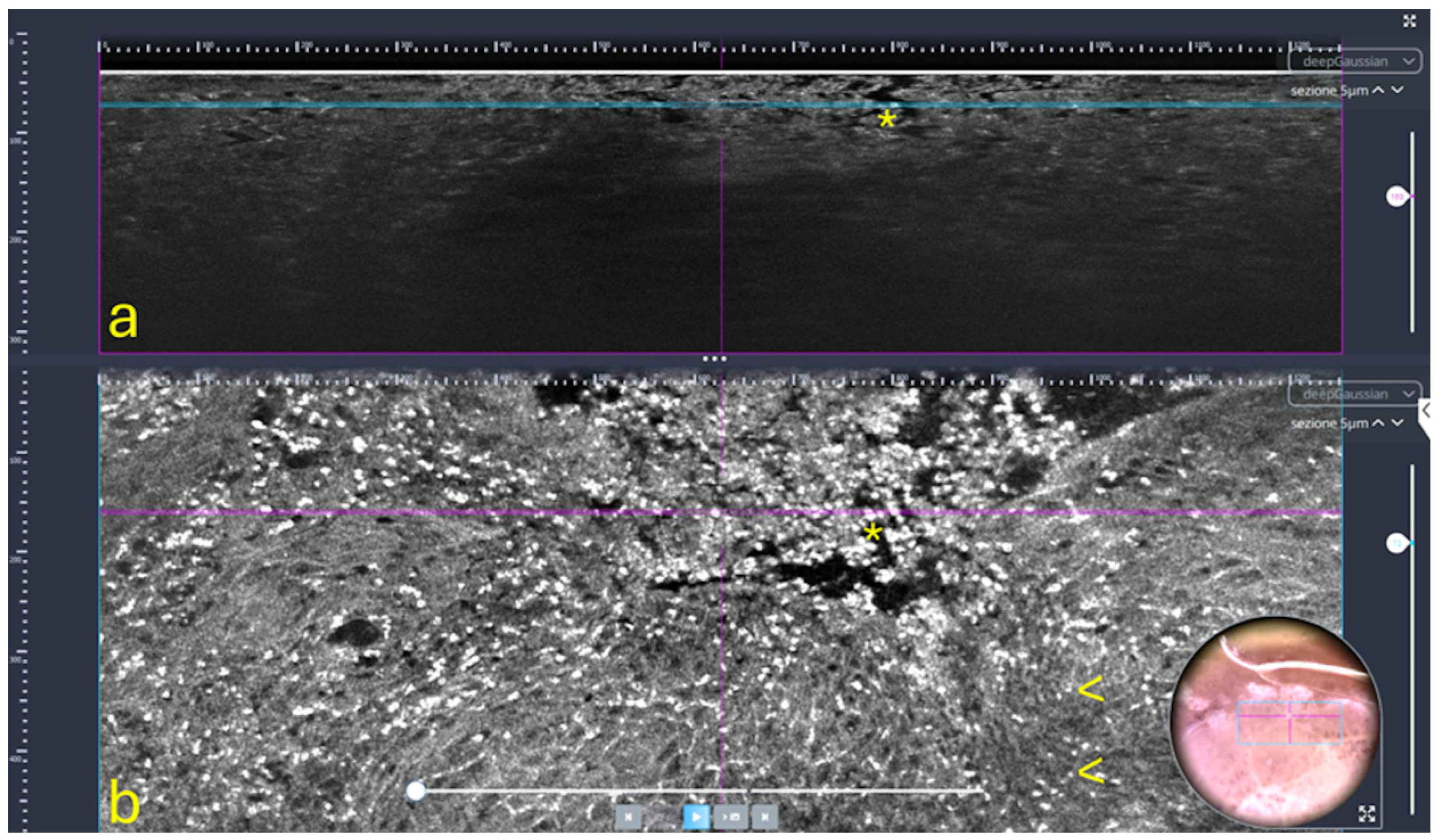 Dentistry 13 00305 g002