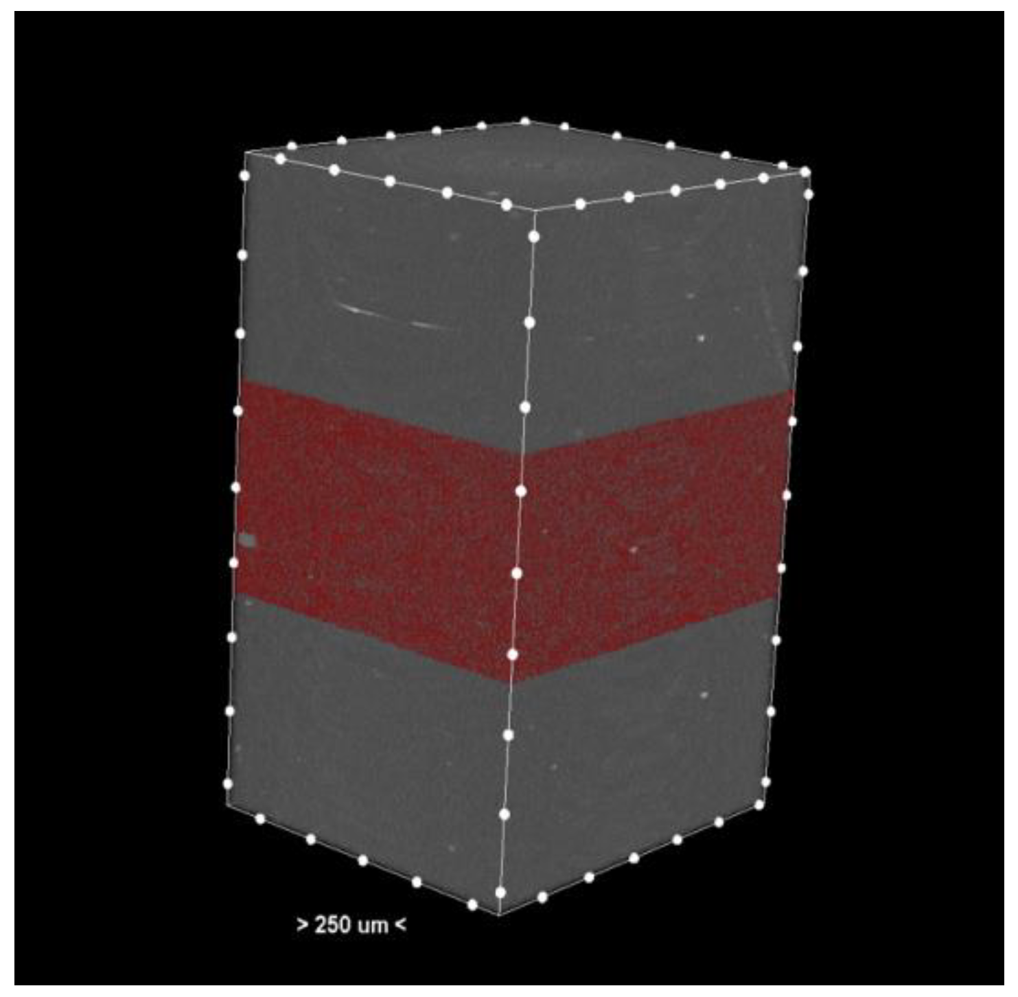 Dentistry 13 00311 g001