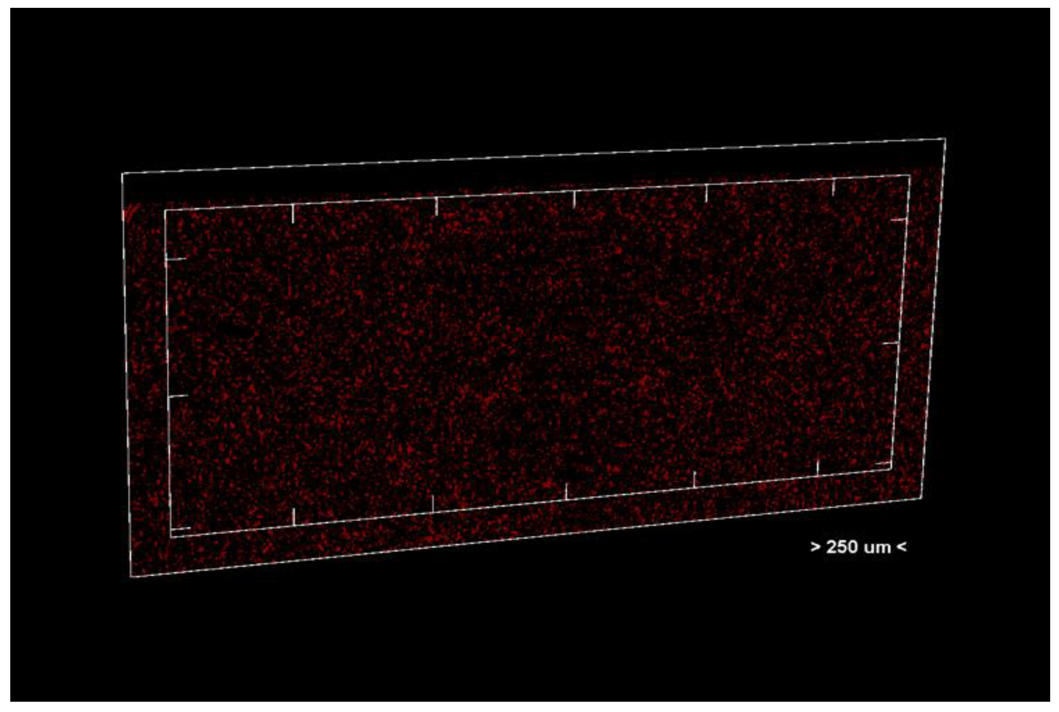 Dentistry 13 00311 g004