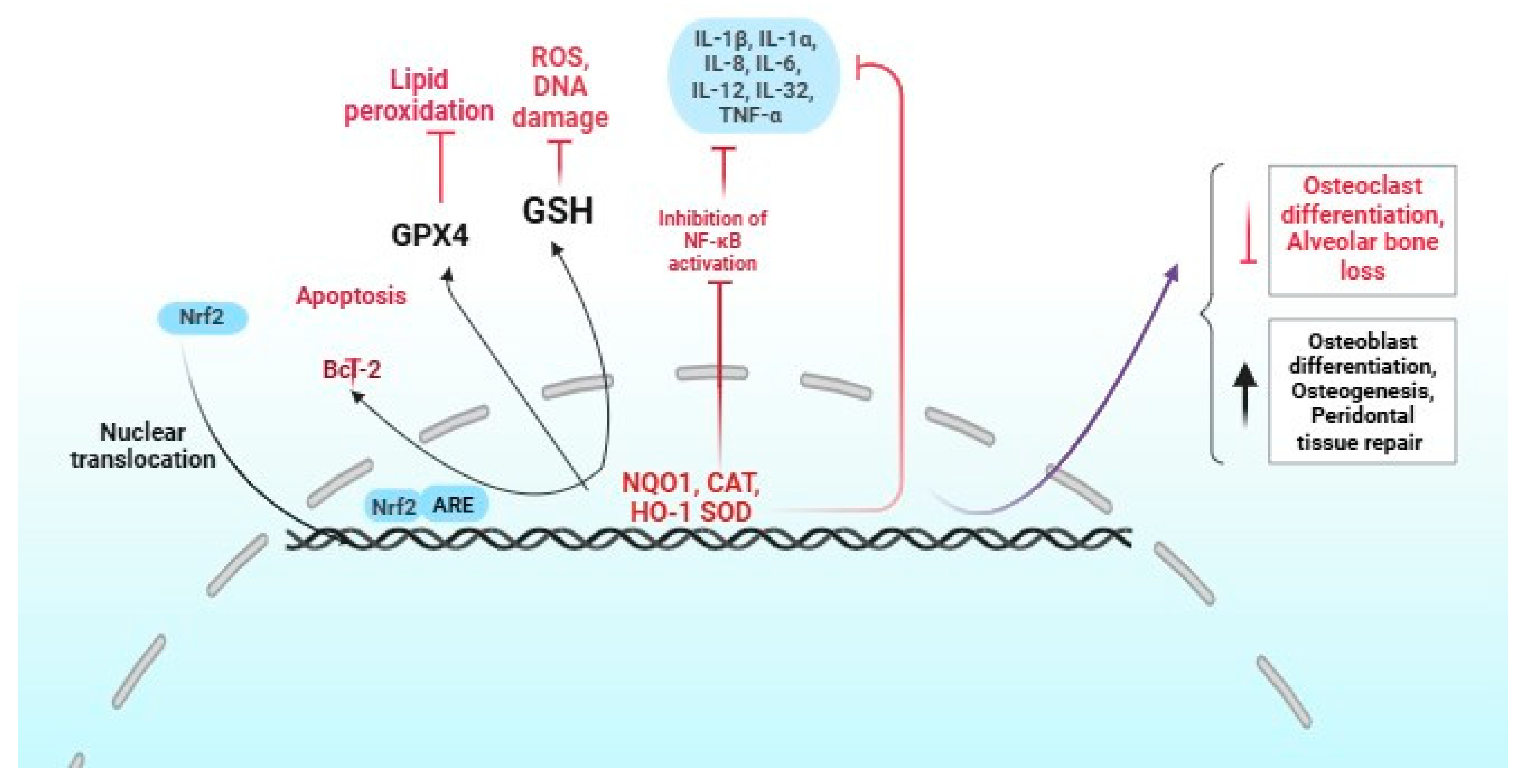Dentistry 13 00314 g002