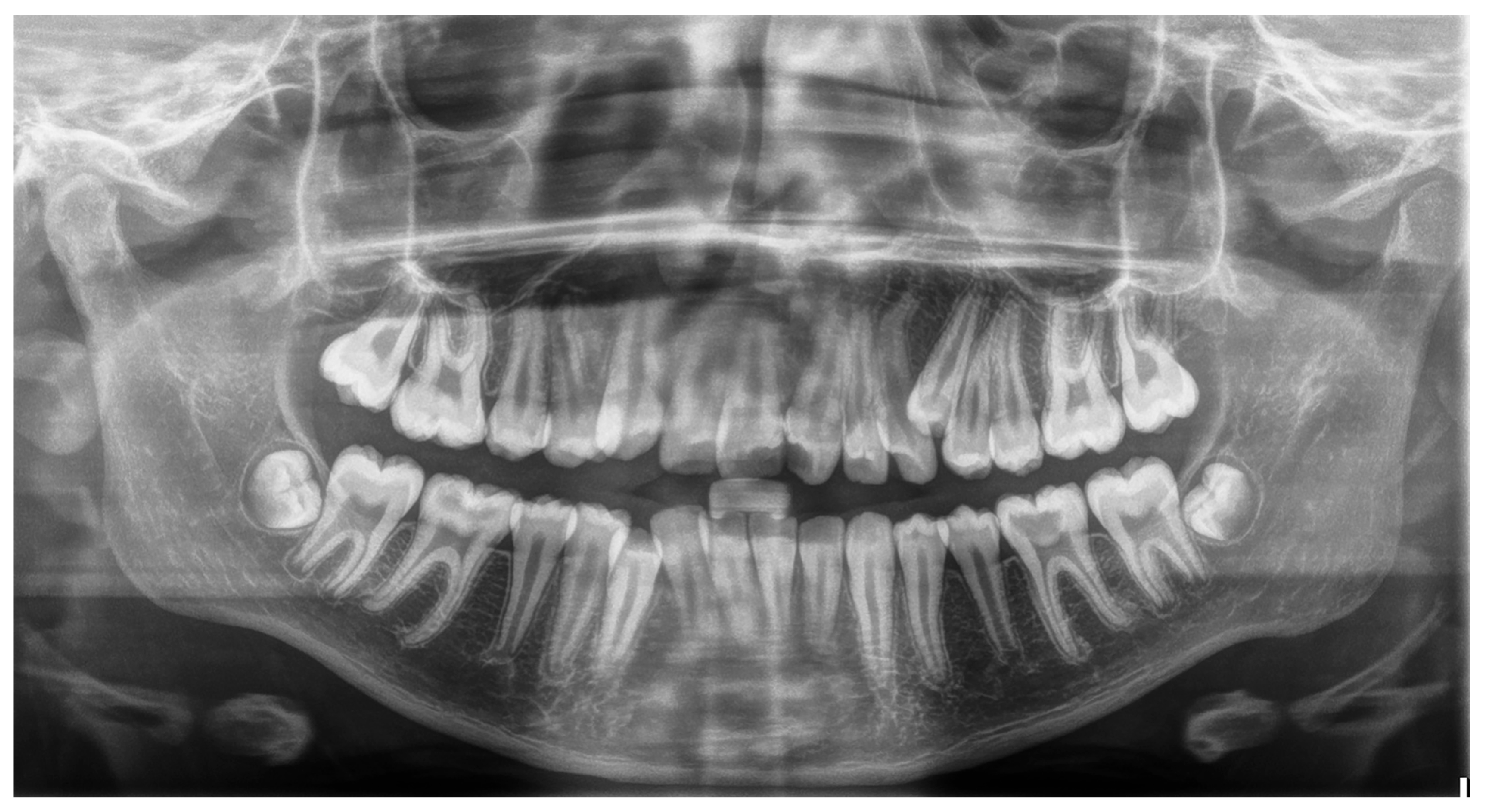 Dentistry 13 00317 g002