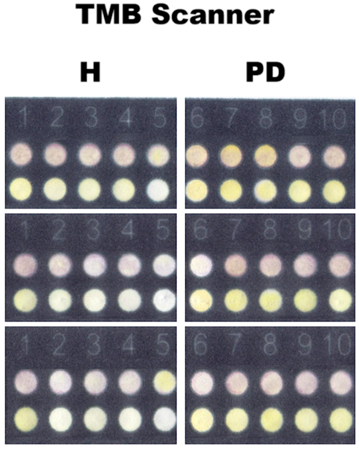 Dentistry 13 00321 g004