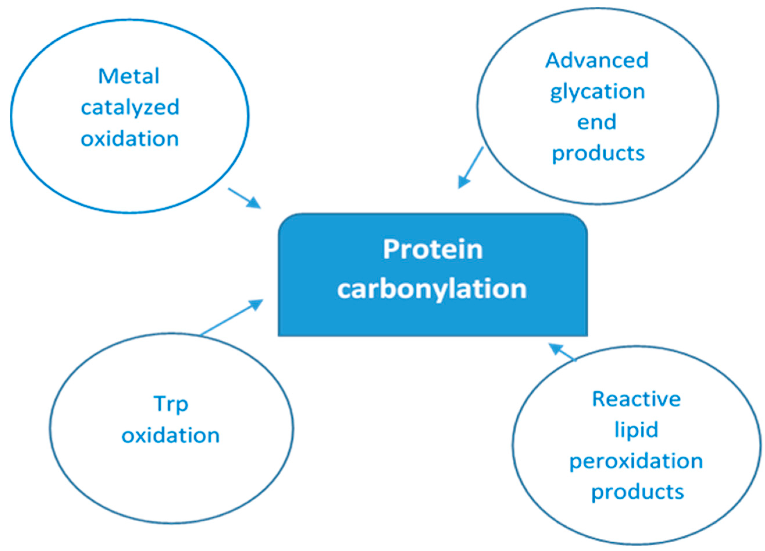 Dentistry 13 00328 g001