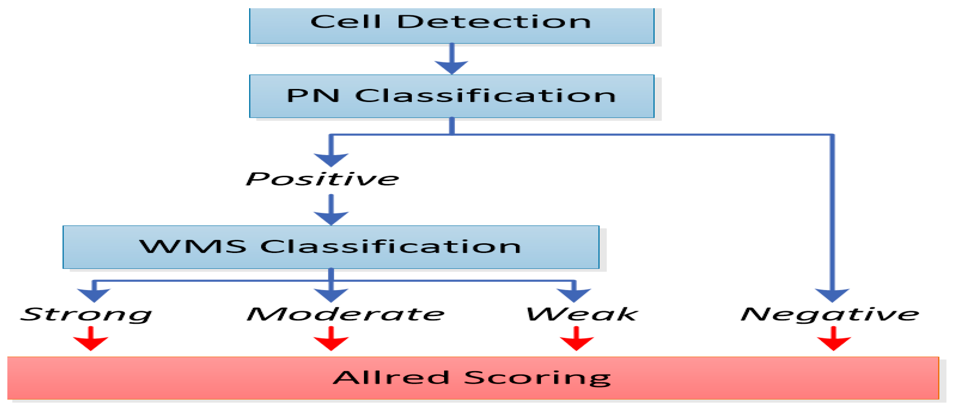 Dentistry 13 00328 g002