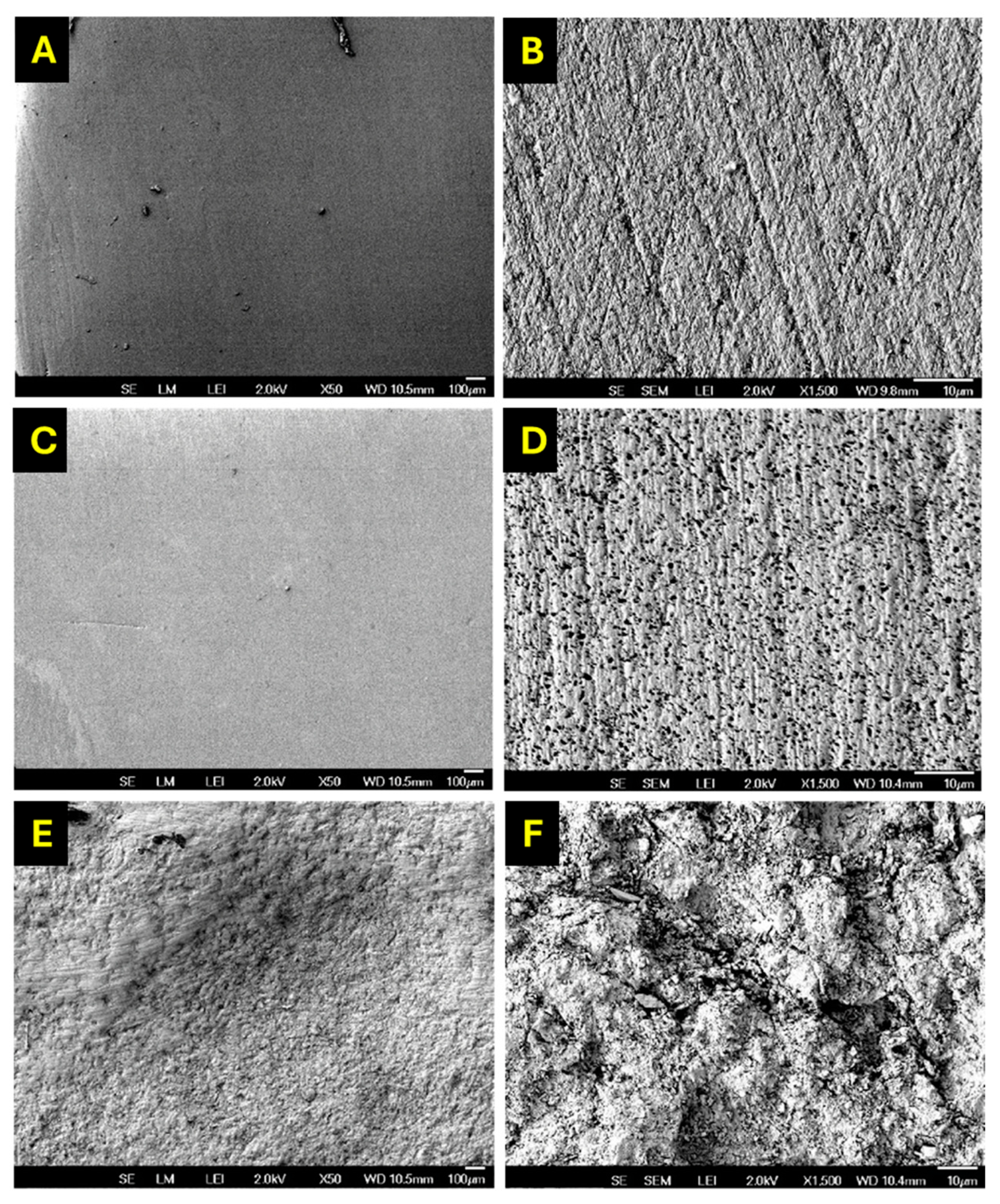 Dentistry 13 00341 g005