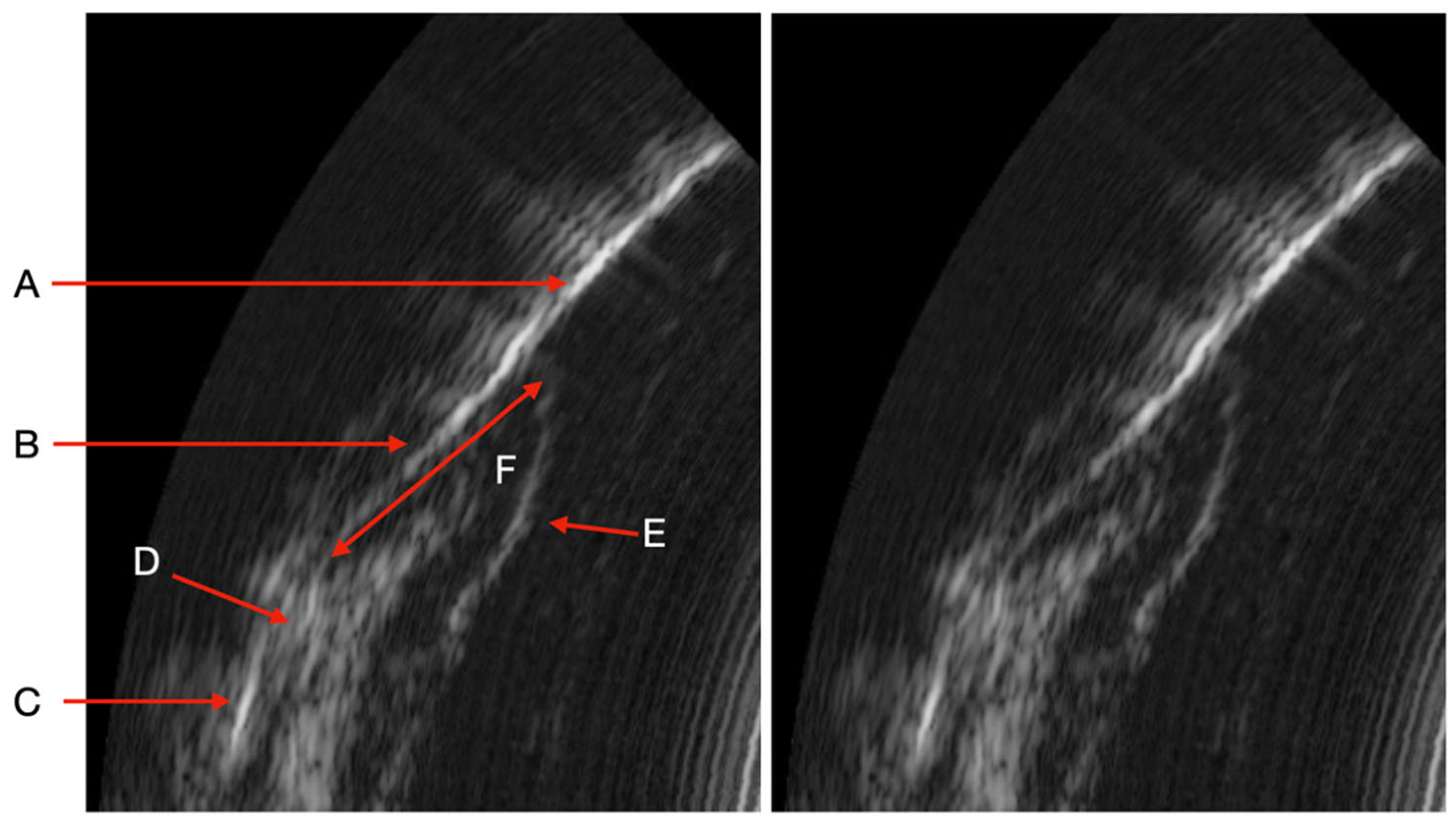 Dentistry 13 00349 g002
