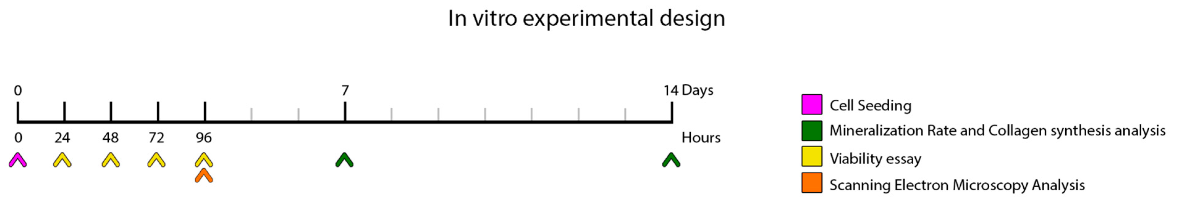 Dentistry 13 00351 g001