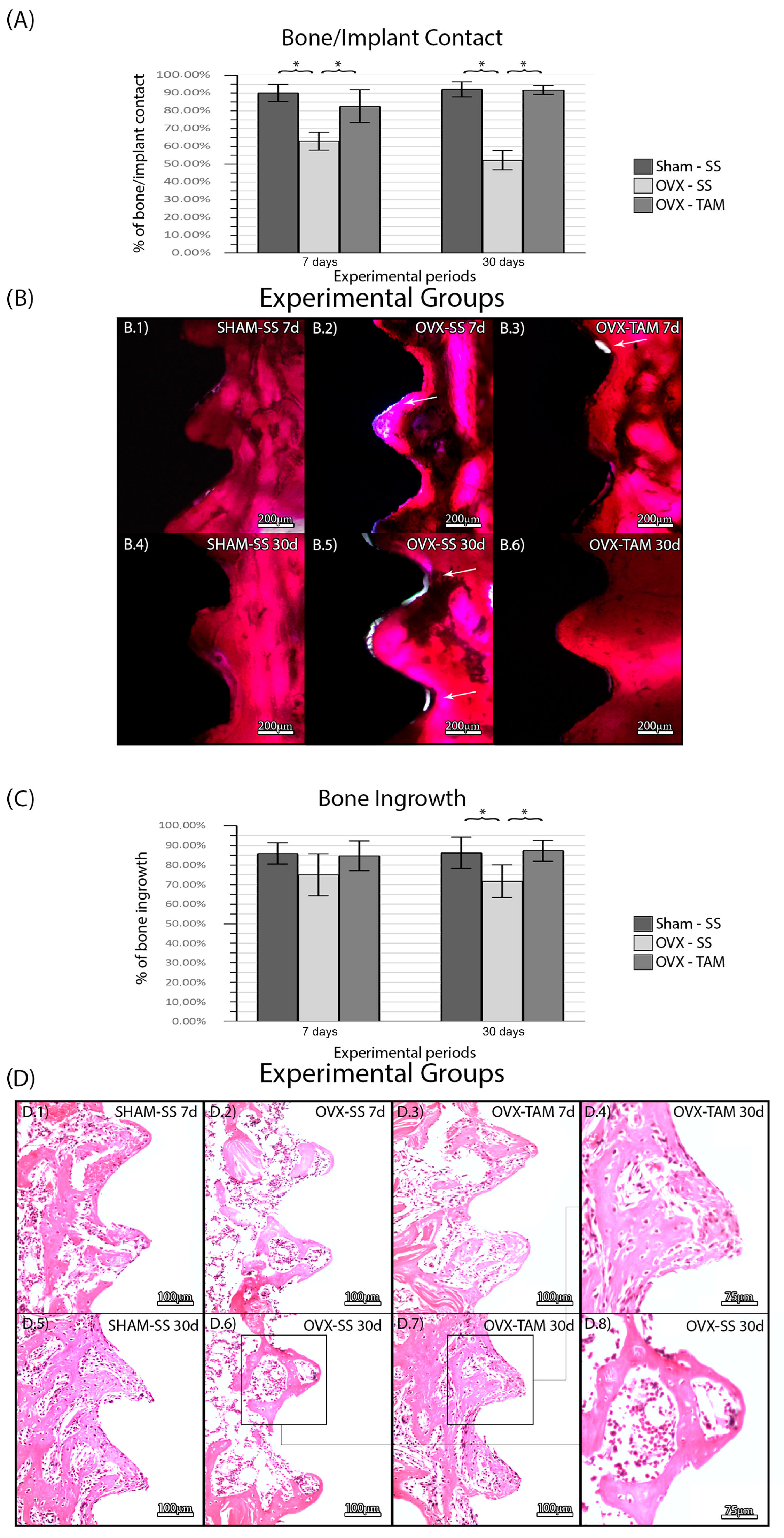 Dentistry 13 00351 g004