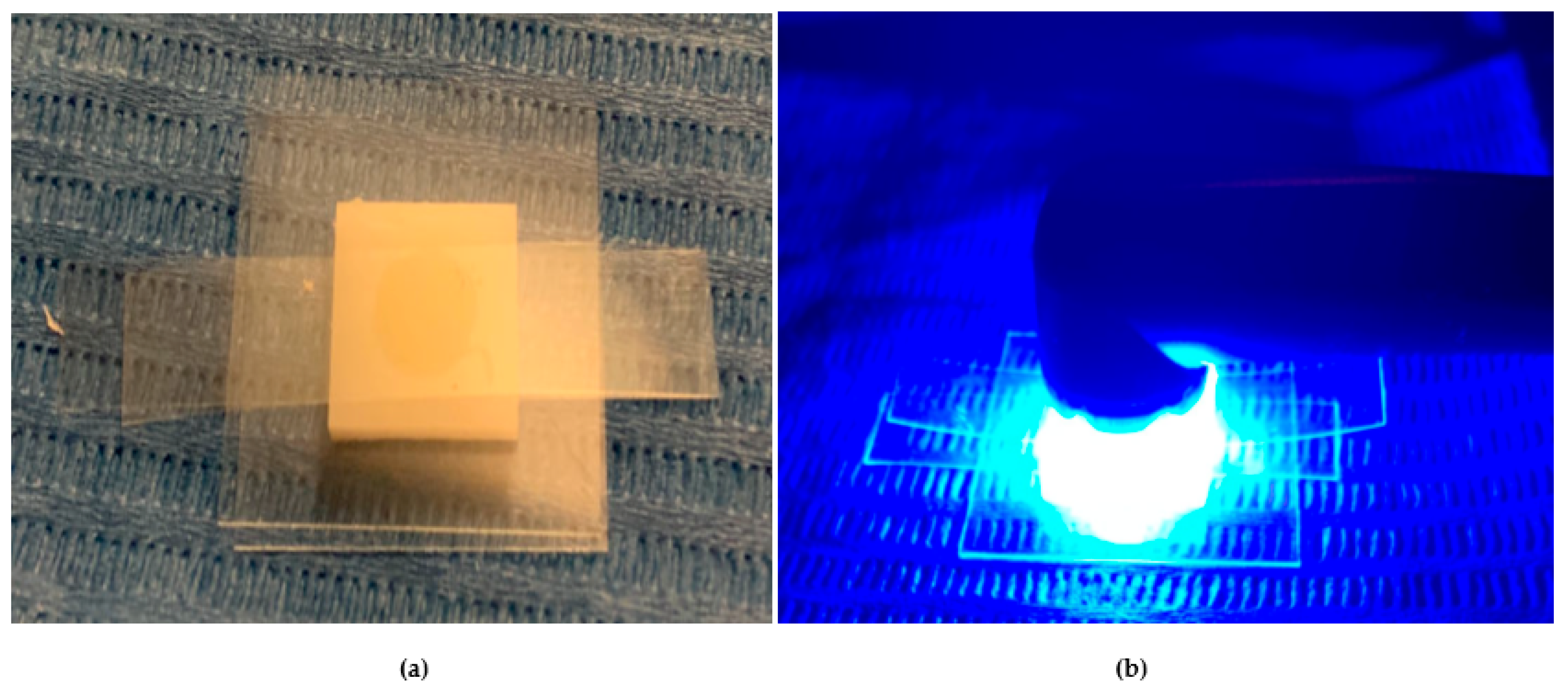 Dentistry 13 00352 g003 Dentistry 13 00352 g003