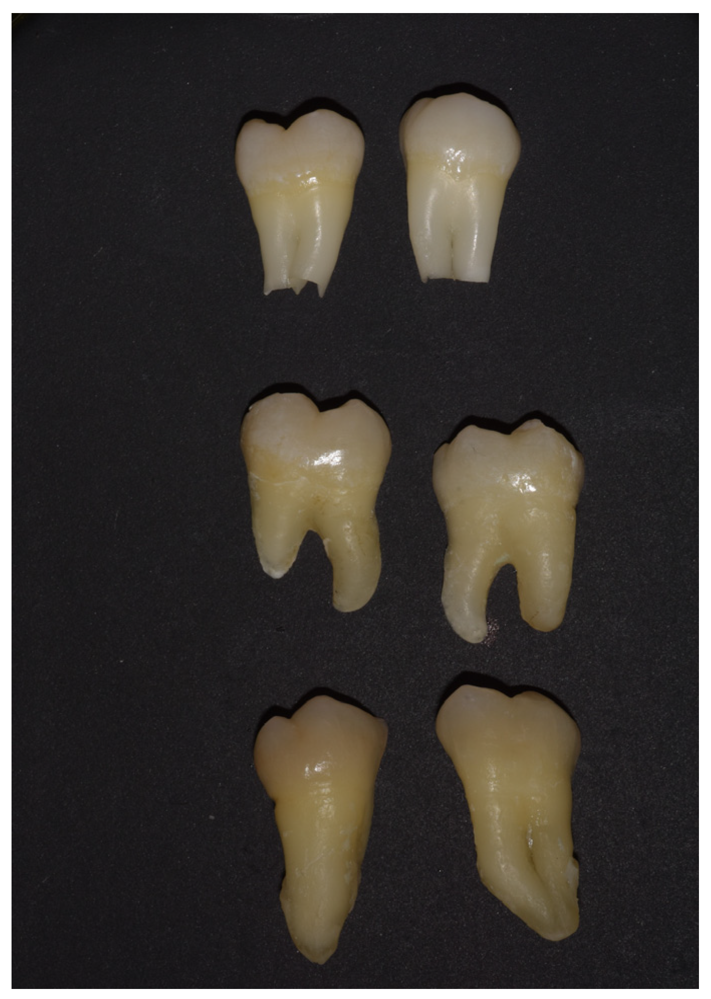 Dentistry 13 00357 g001