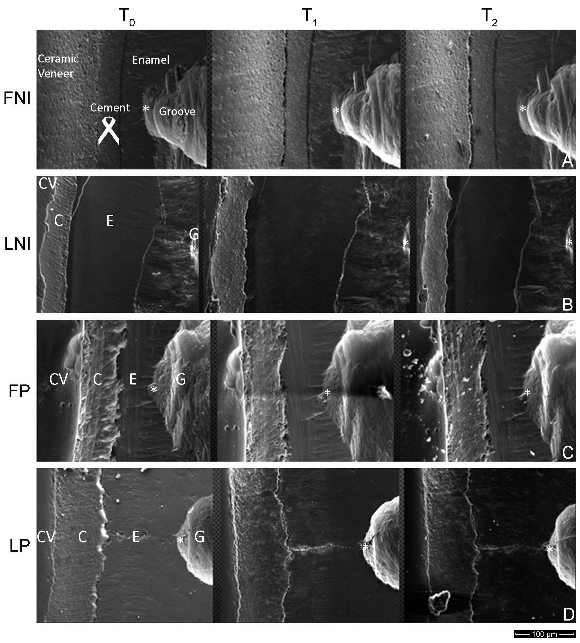 Dentistry 13 00358 g003