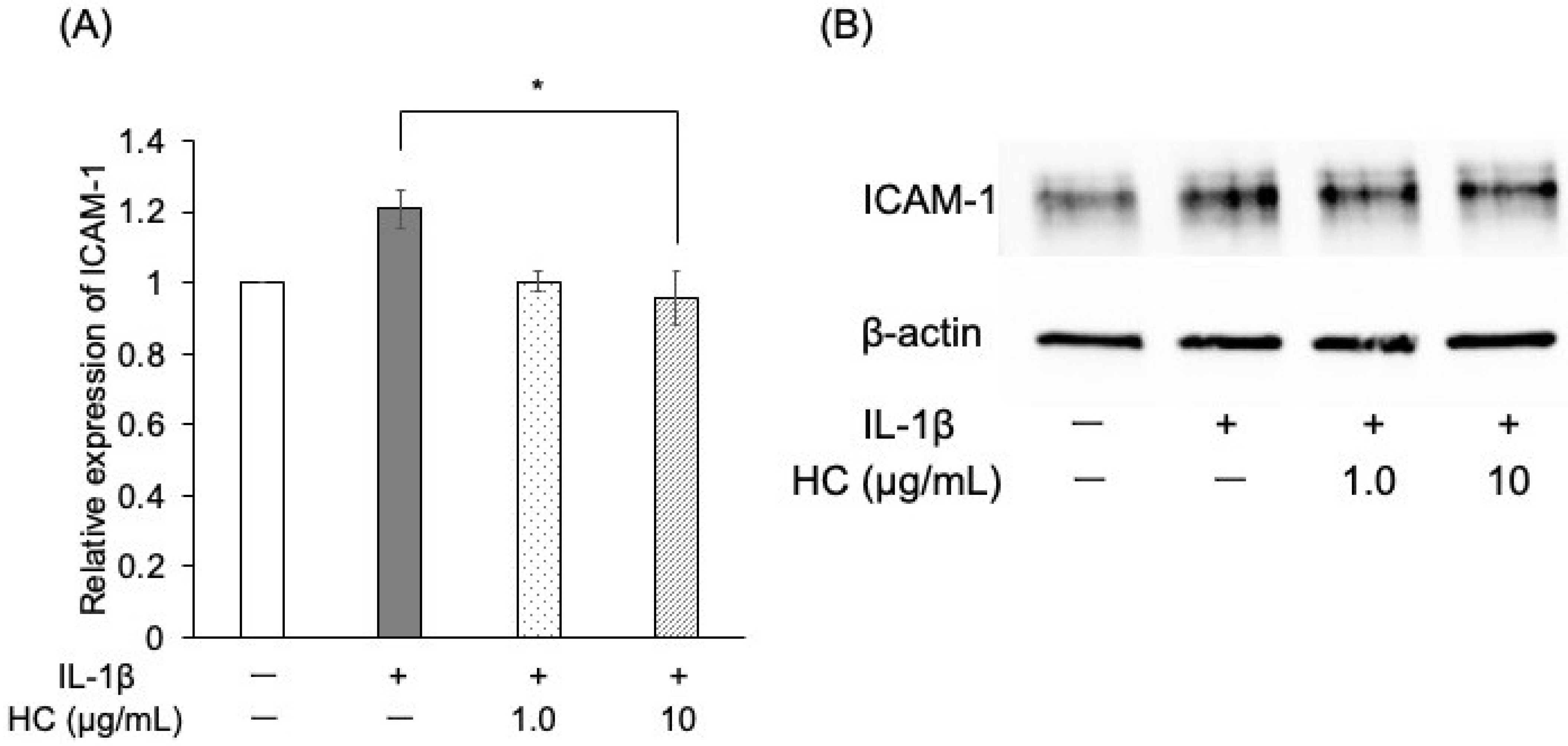 Dentistry 13 00360 g004 Dentistry 13 00360 g004