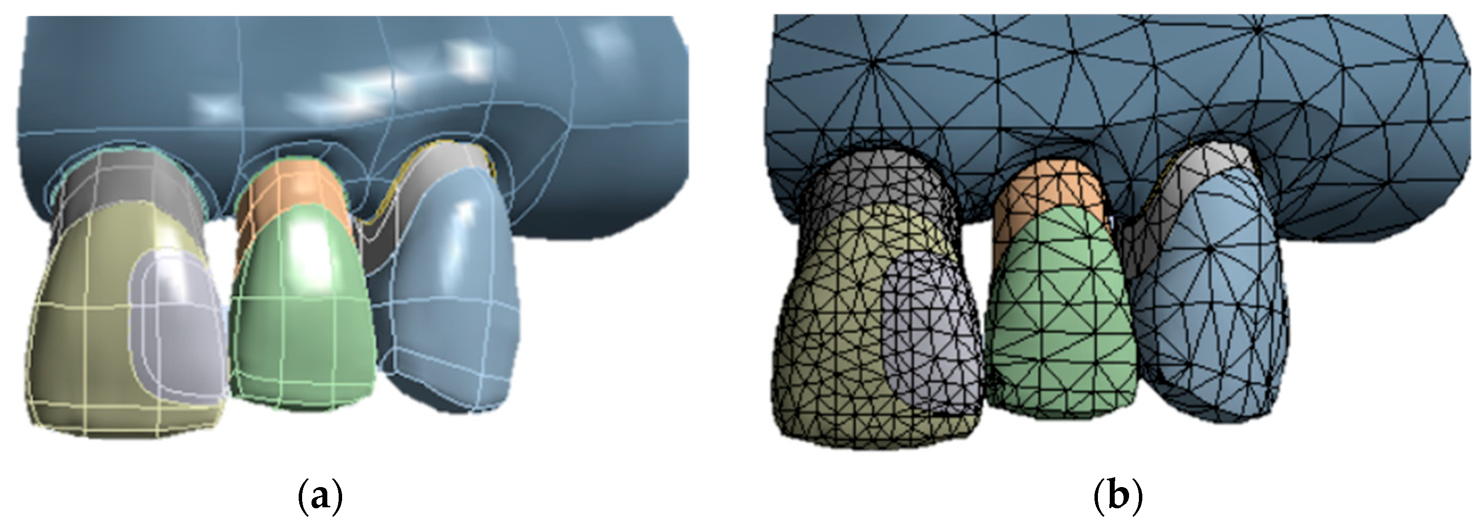 Dentistry 13 00367 g001