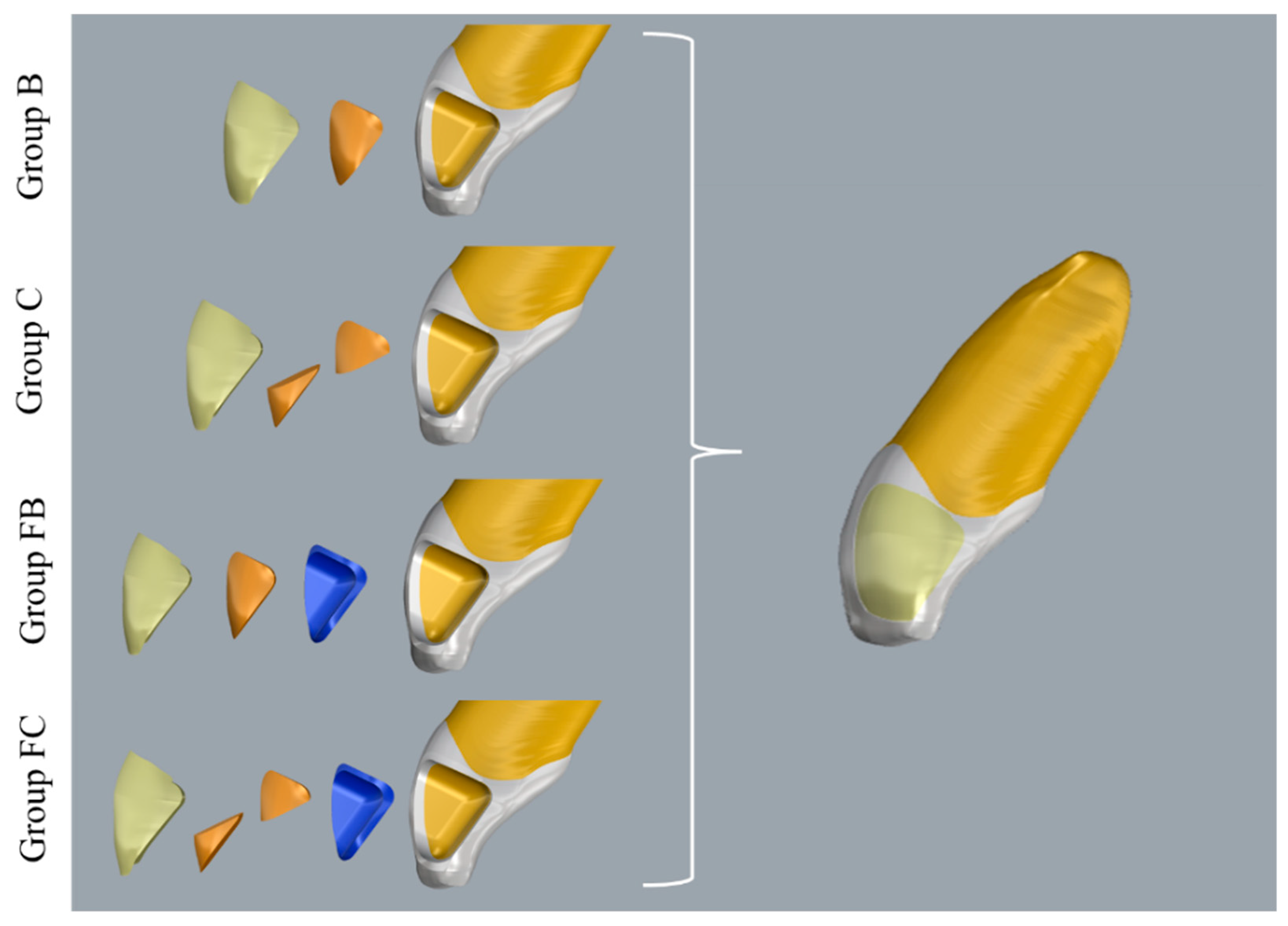 Dentistry 13 00367 g002