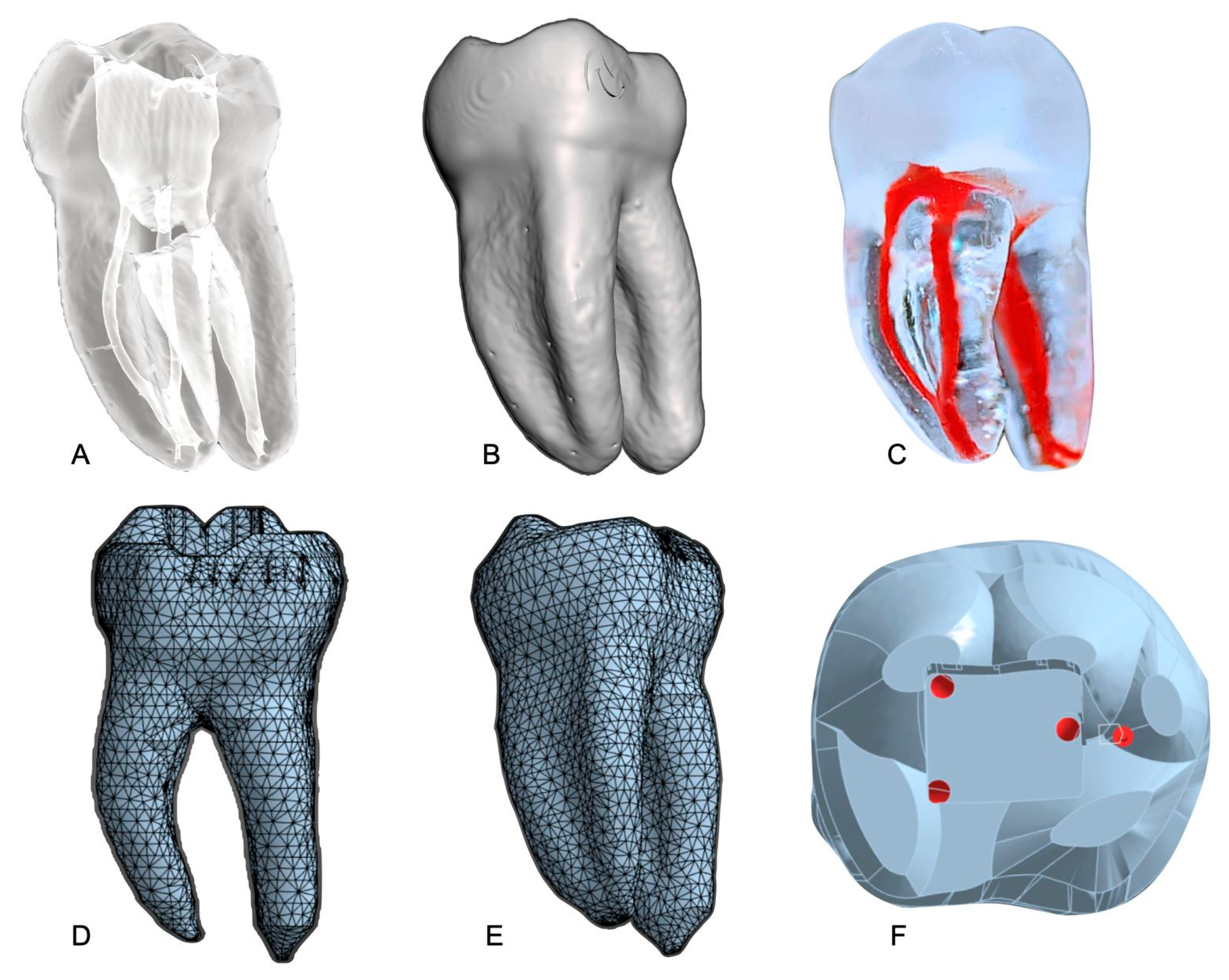 Dentistry 13 00368 g001