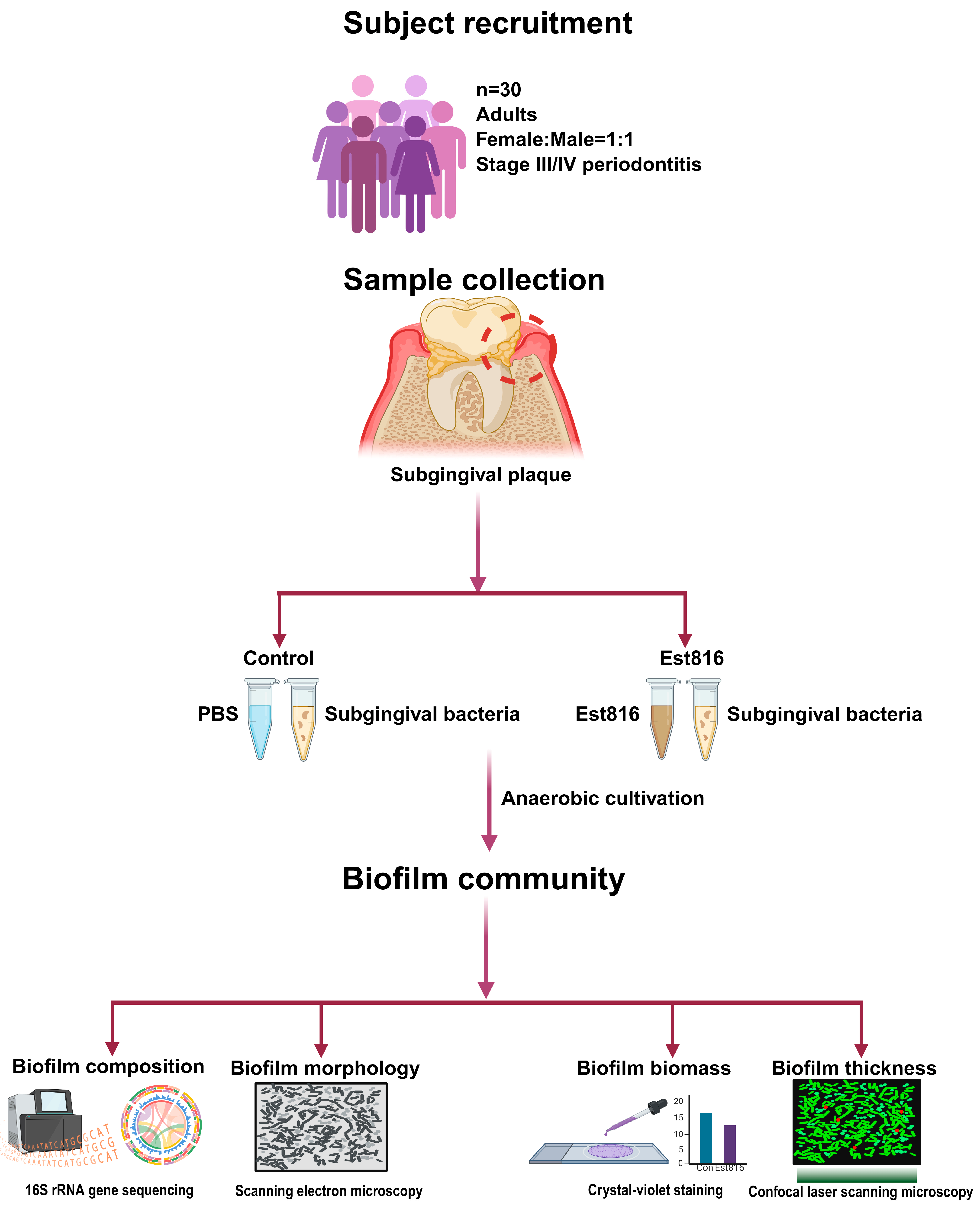 Dentistry 13 00372 g001 Dentistry 13 00372 g001