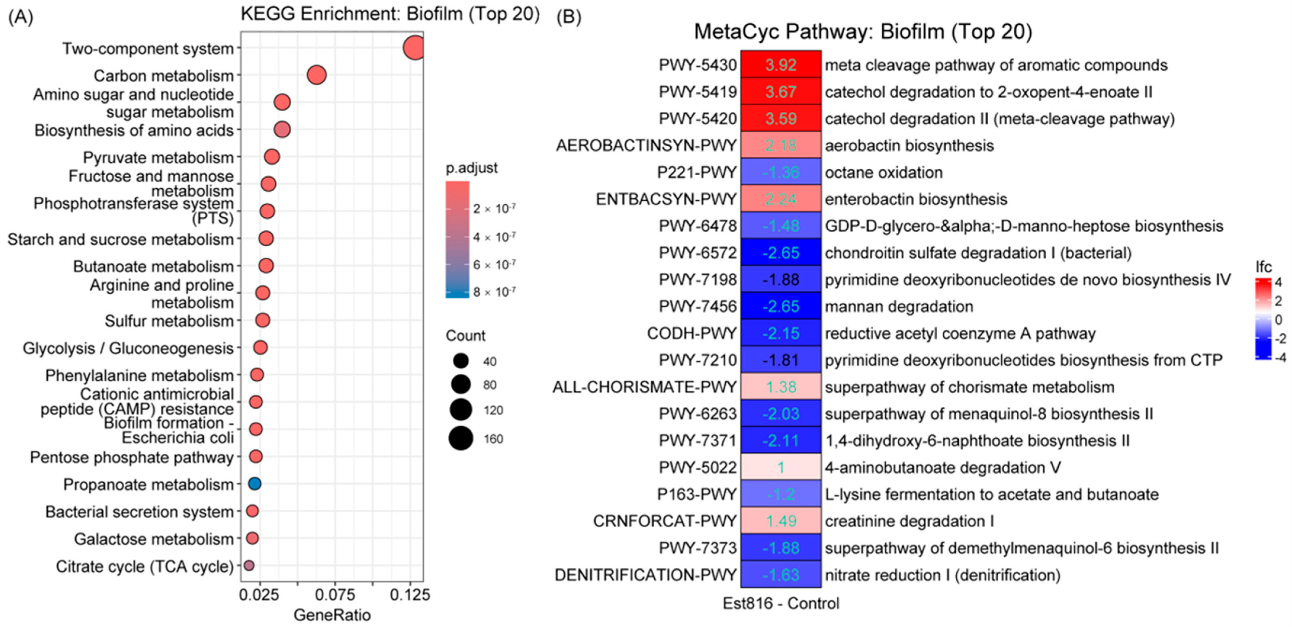 Dentistry 13 00372 g004 Dentistry 13 00372 g004