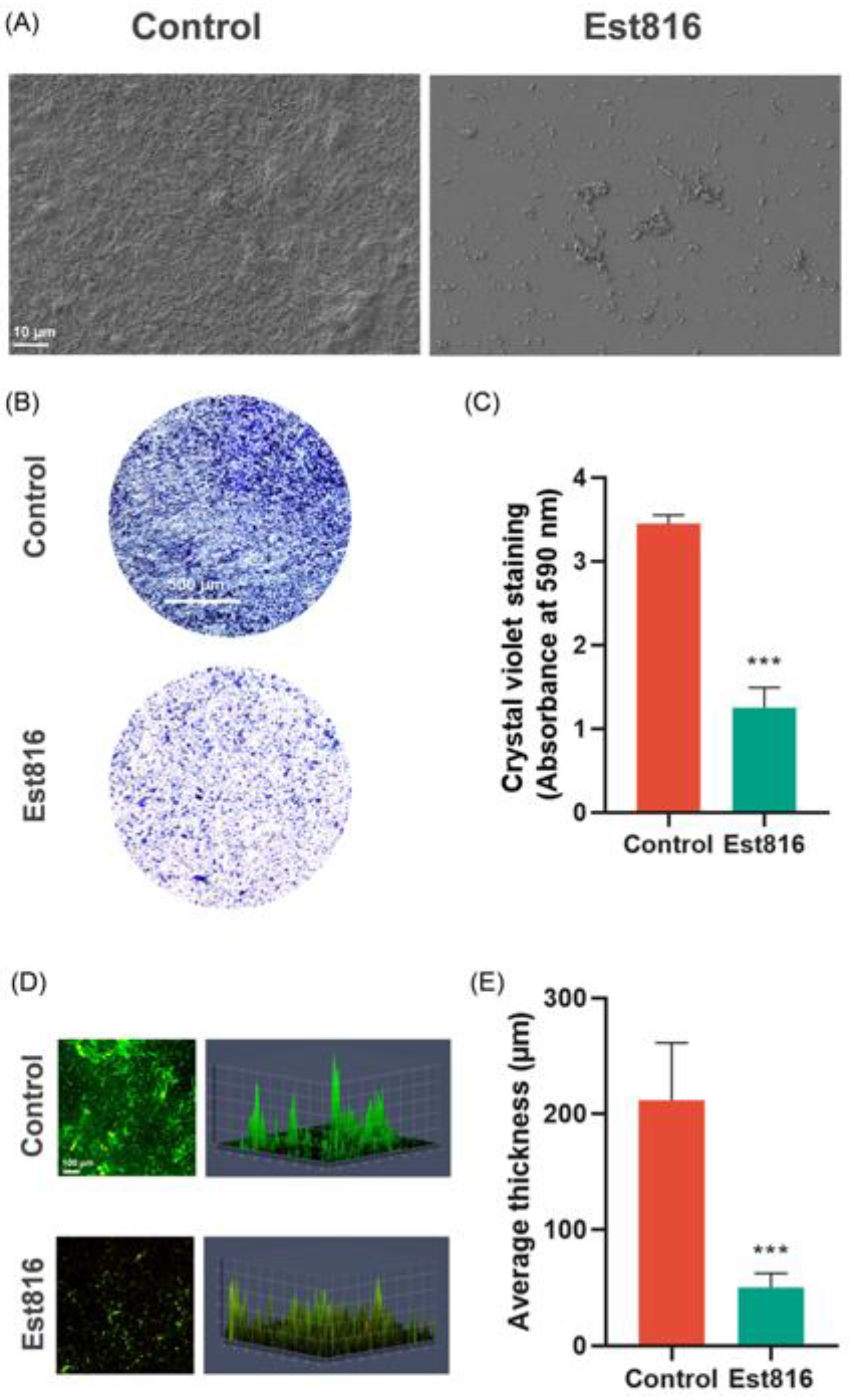 Dentistry 13 00372 g005 Dentistry 13 00372 g005