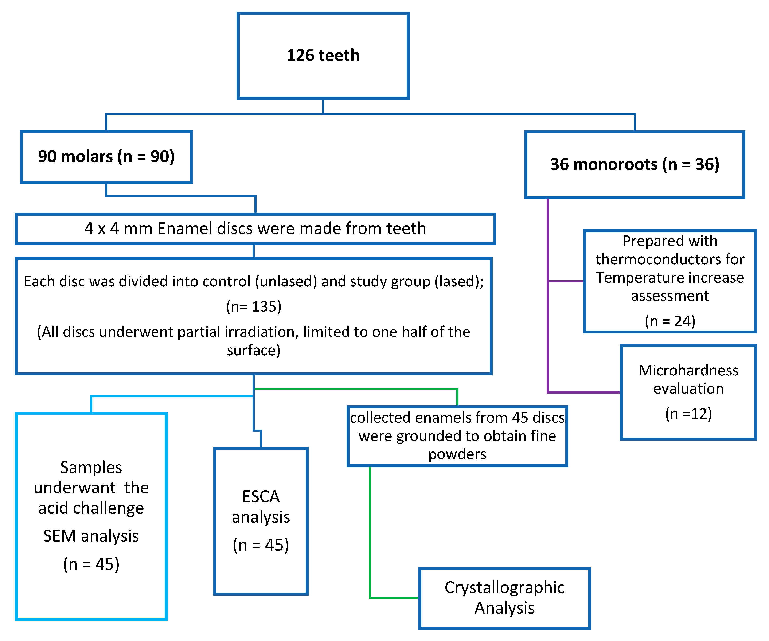 Dentistry 13 00376 g001