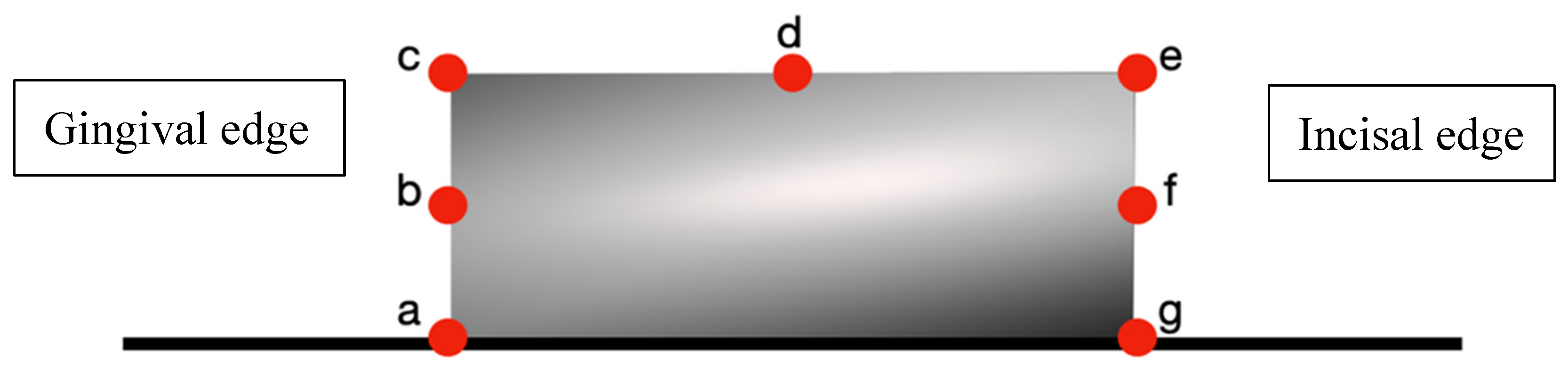 Dentistry 13 00379 g004