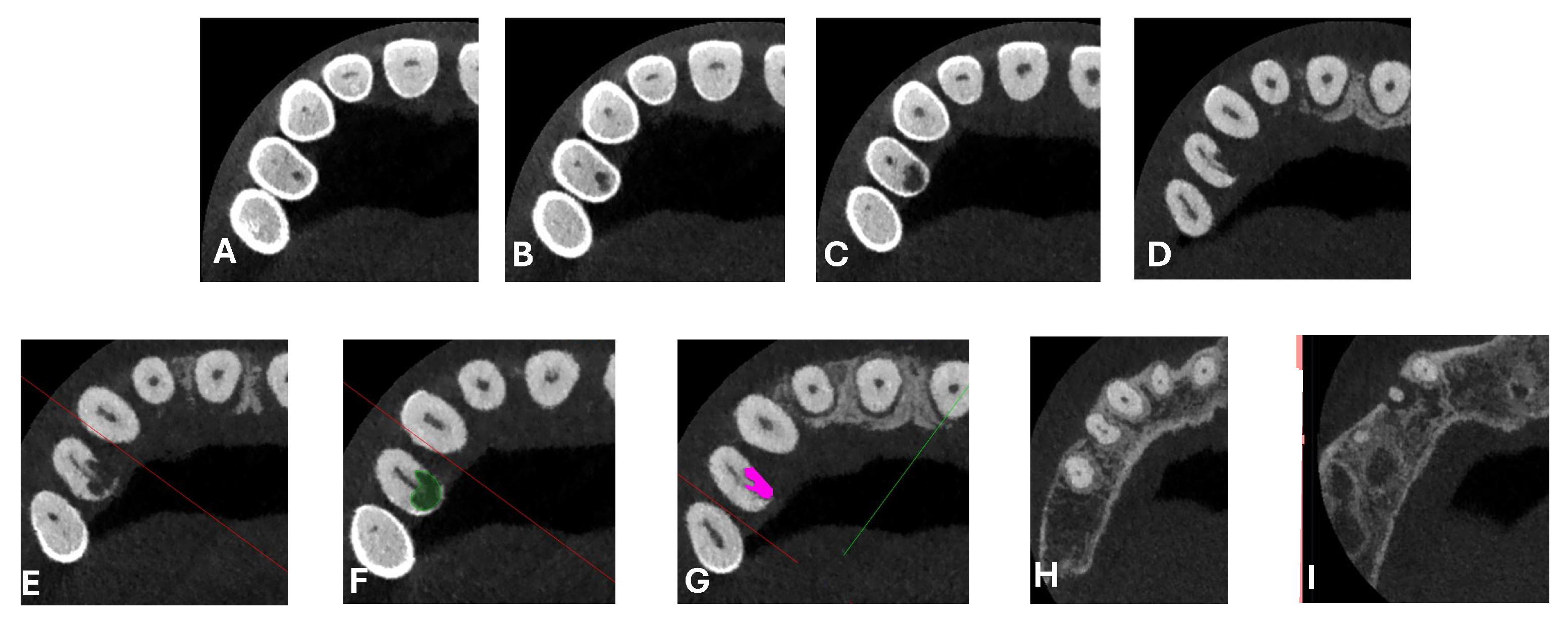 Dentistry 13 00388 g002