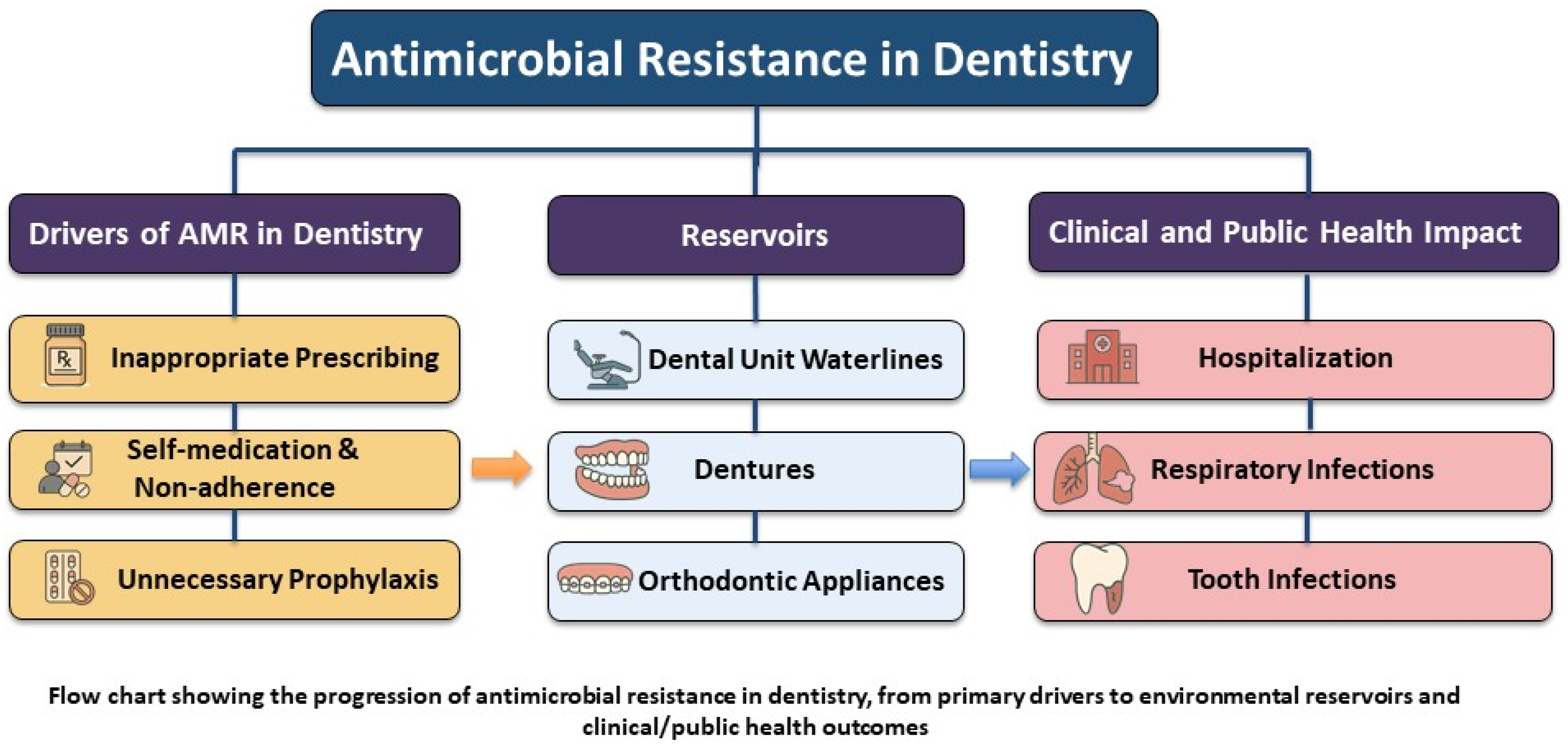 Dentistry 13 00391 g001