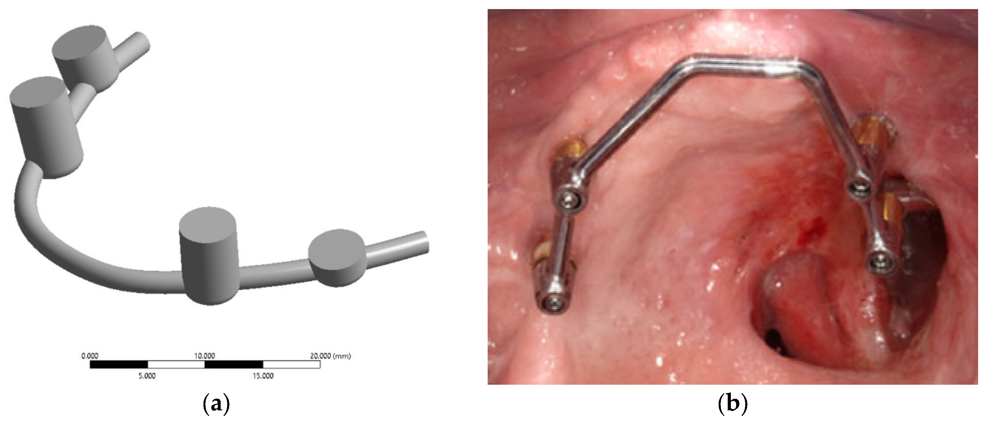 Dentistry 13 00393 g002
