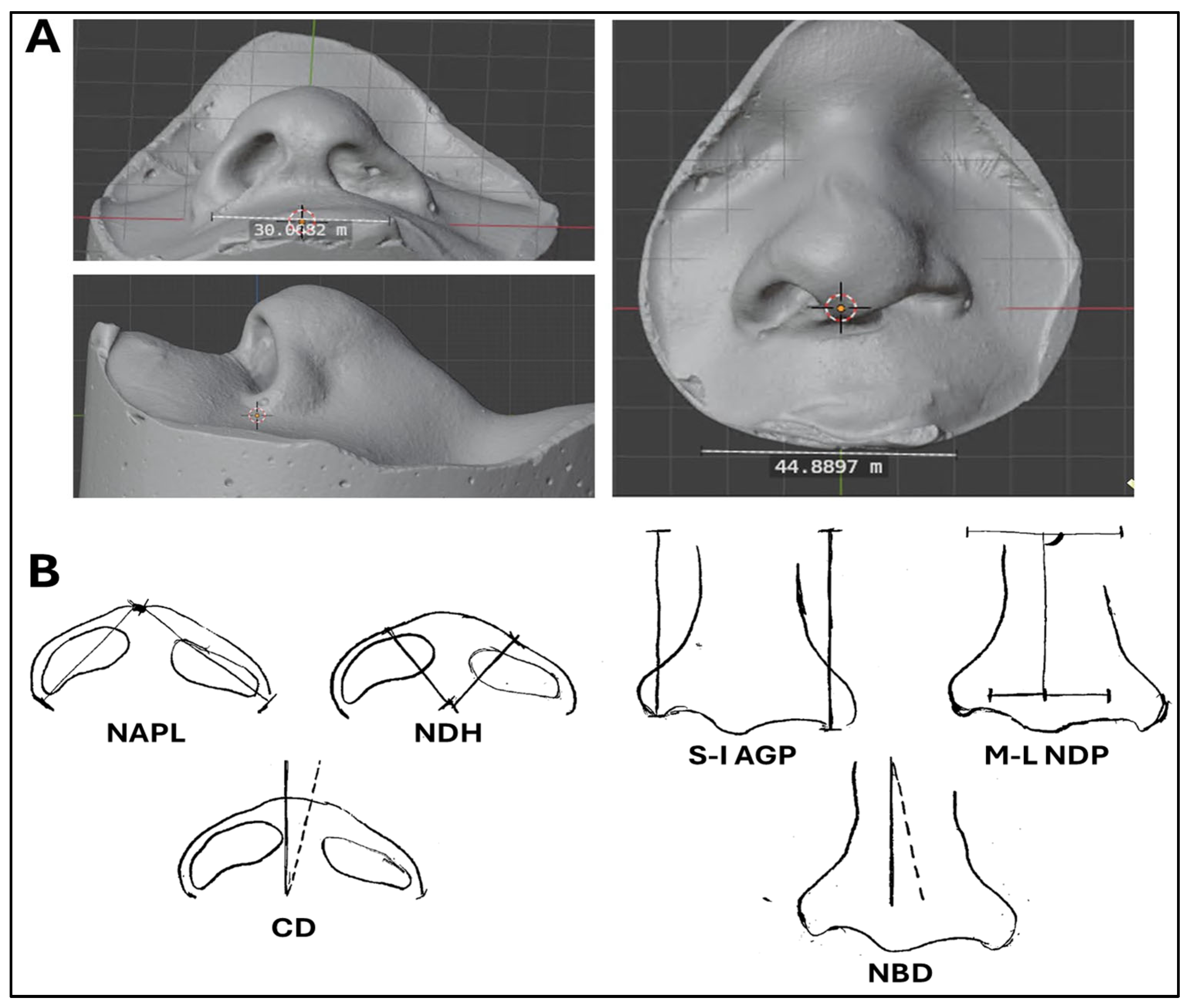 Dentistry 13 00394 g001