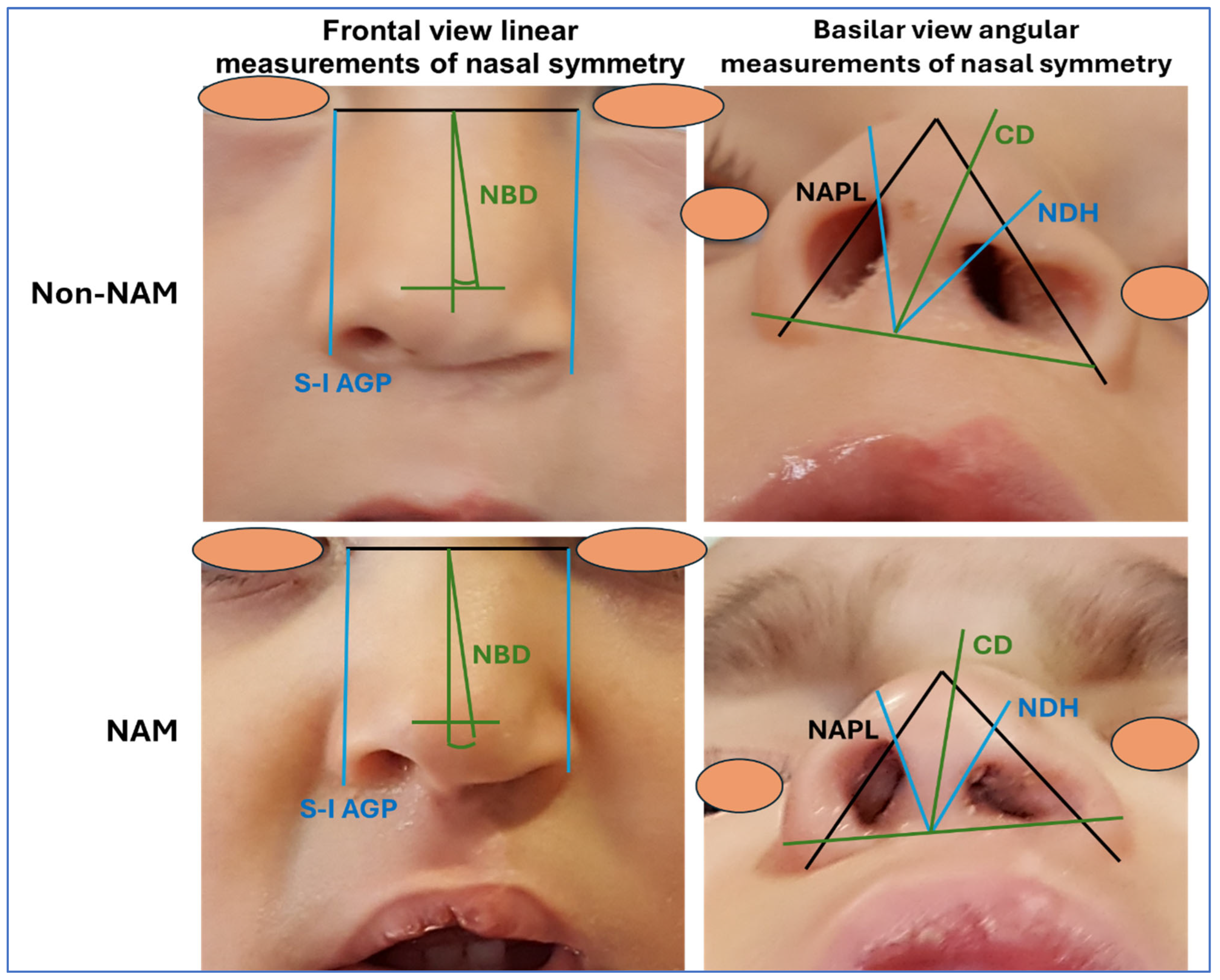 Dentistry 13 00394 g002