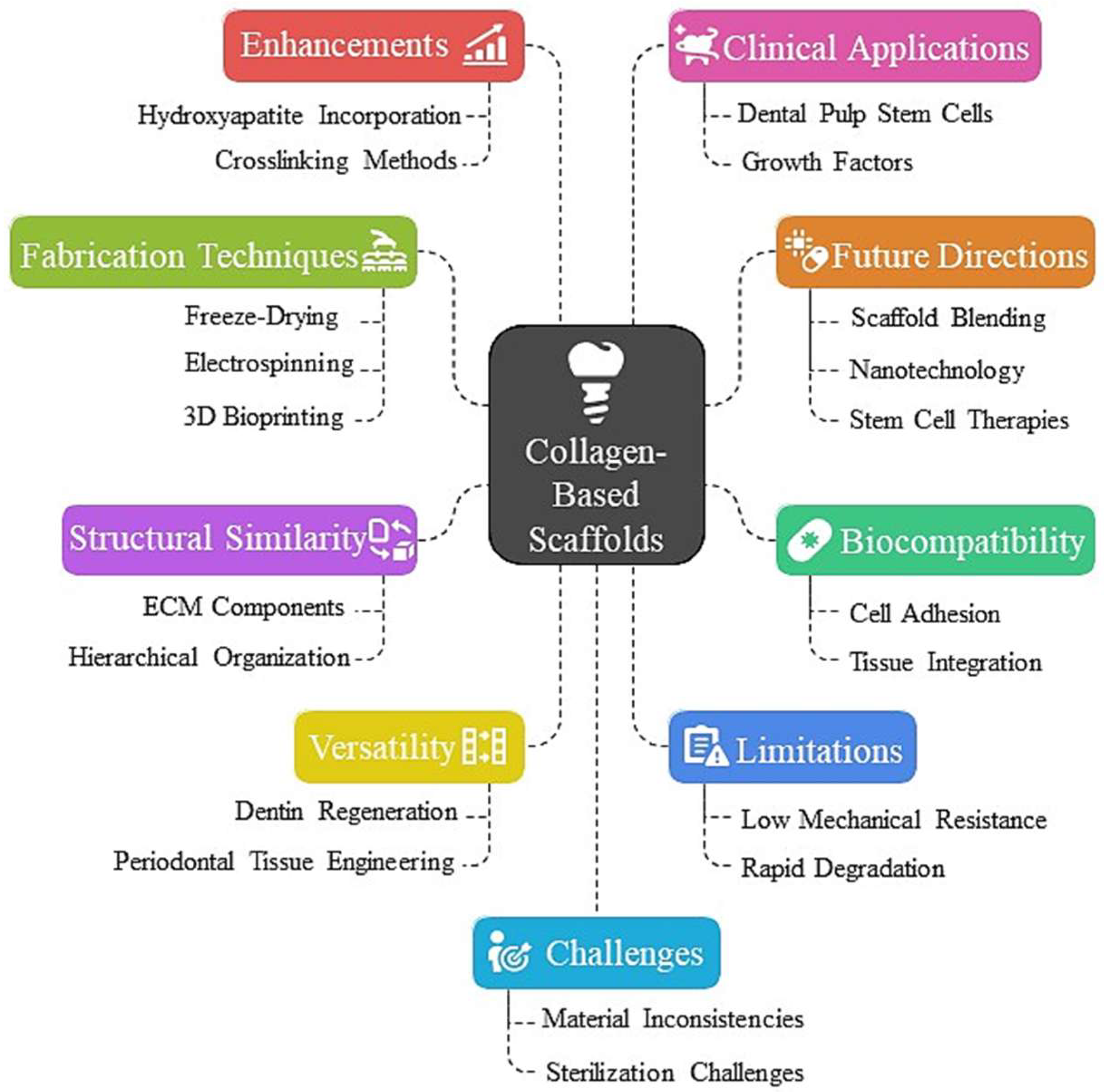 Dentistry 13 00396 g001