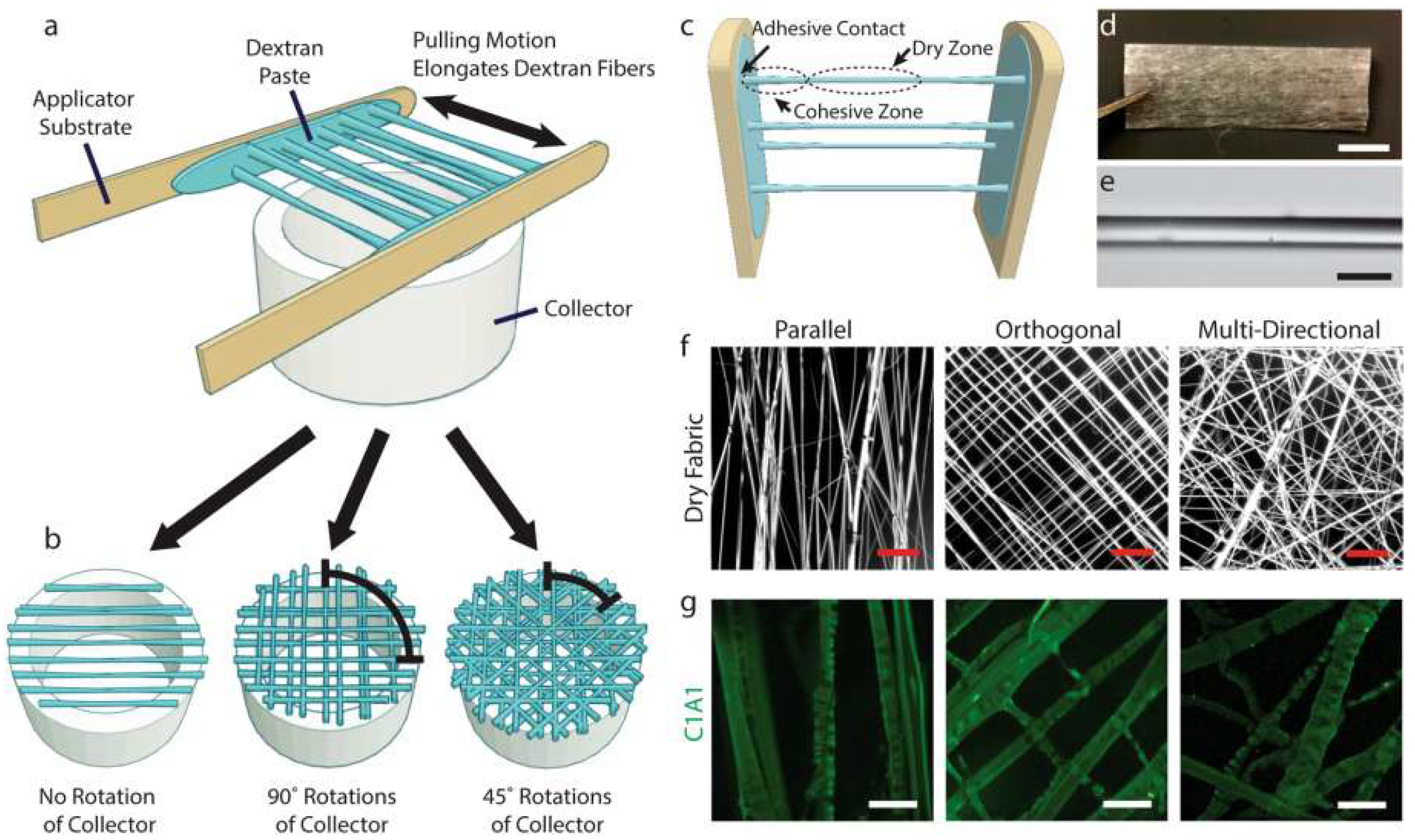 Dentistry 13 00396 g003