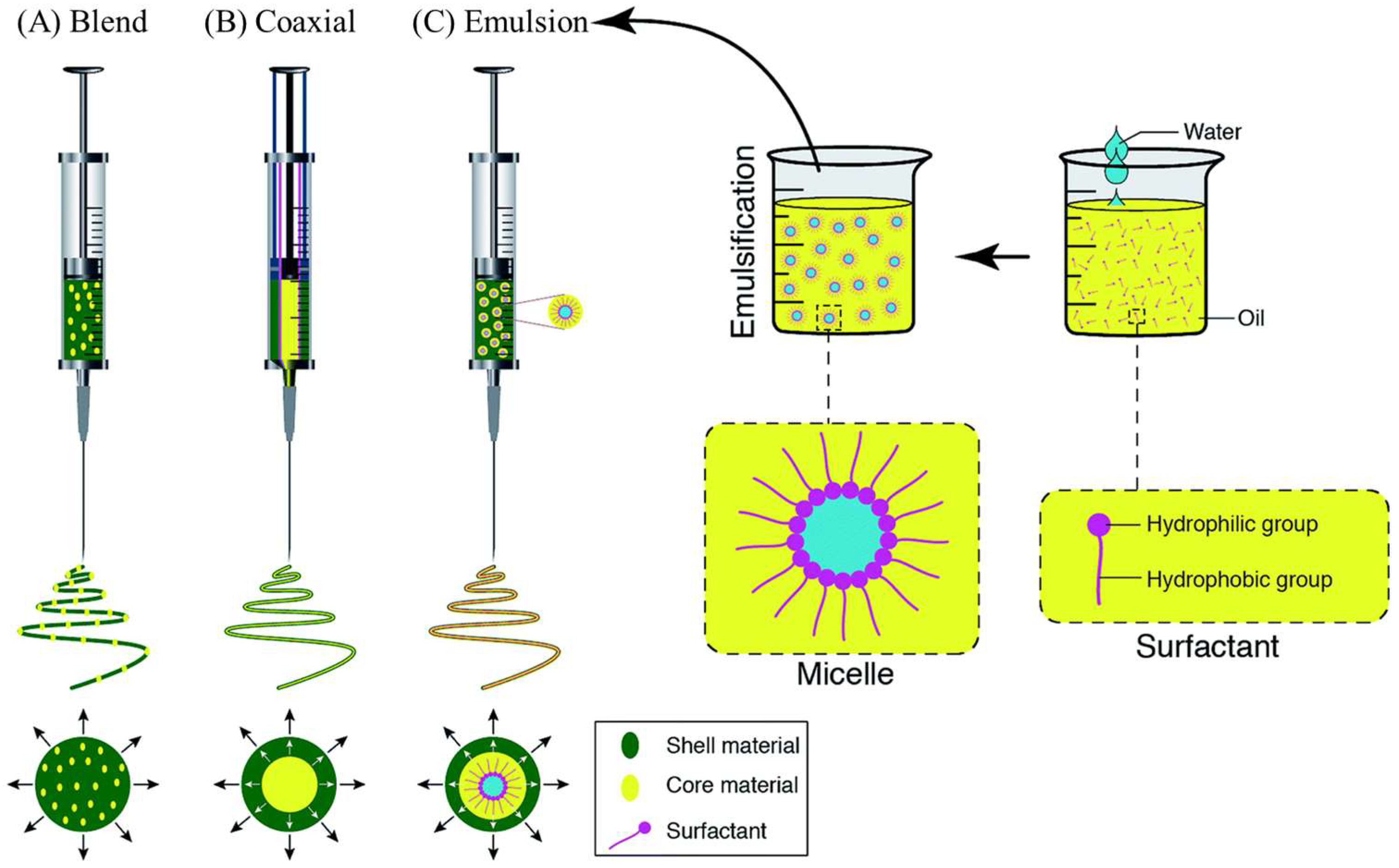 Dentistry 13 00396 g005