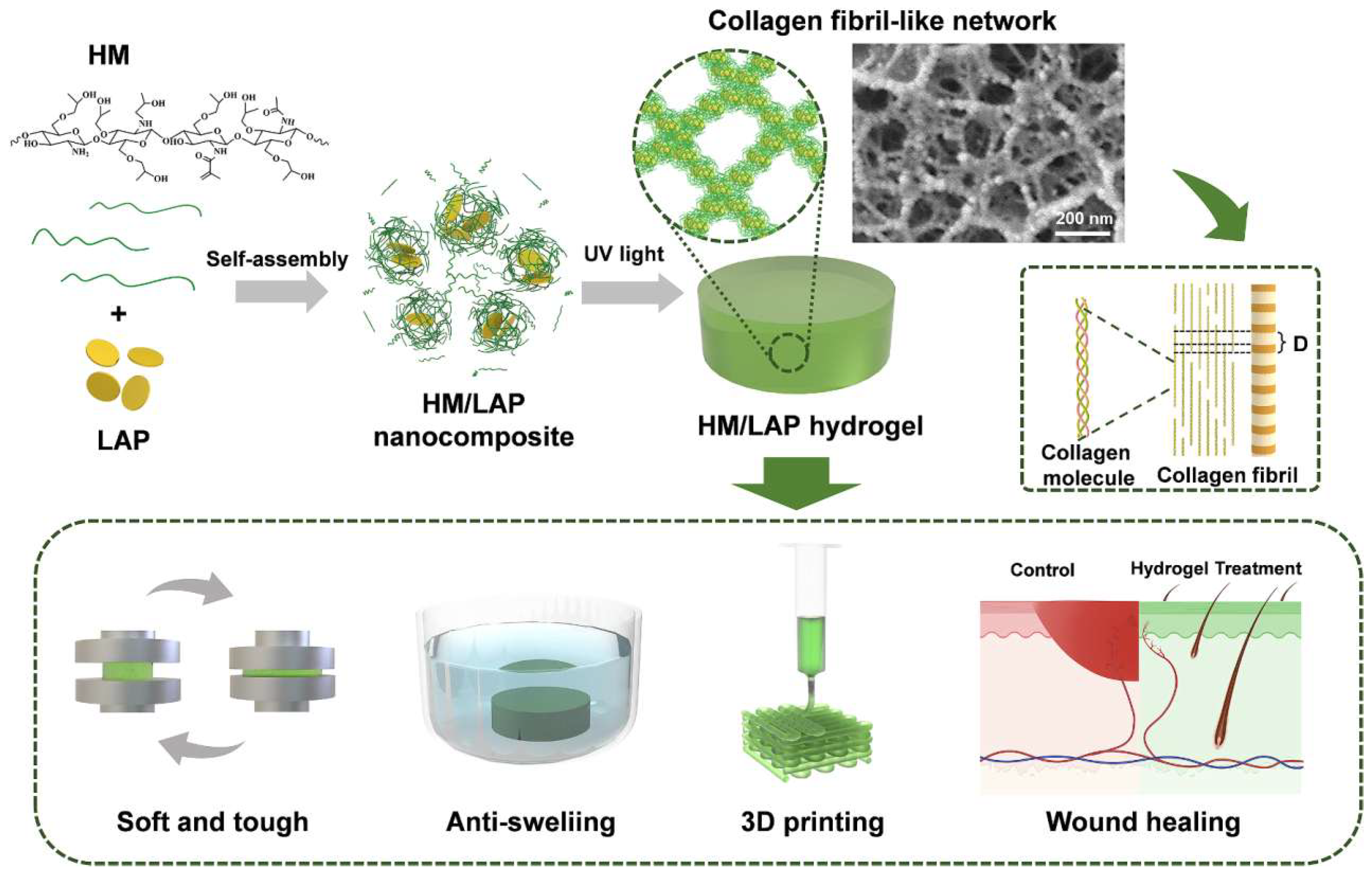 Dentistry 13 00396 g007