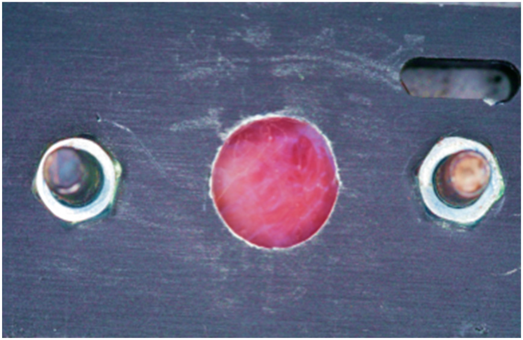 Dentistry 13 00397 g002 Dentistry 13 00397 g002