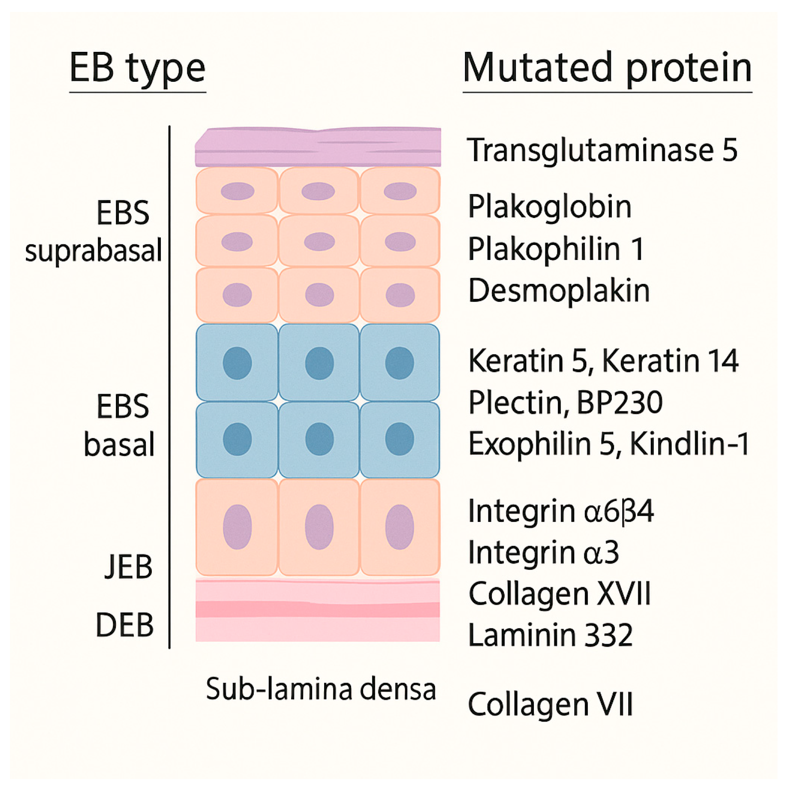 Dentistry 13 00398 g001