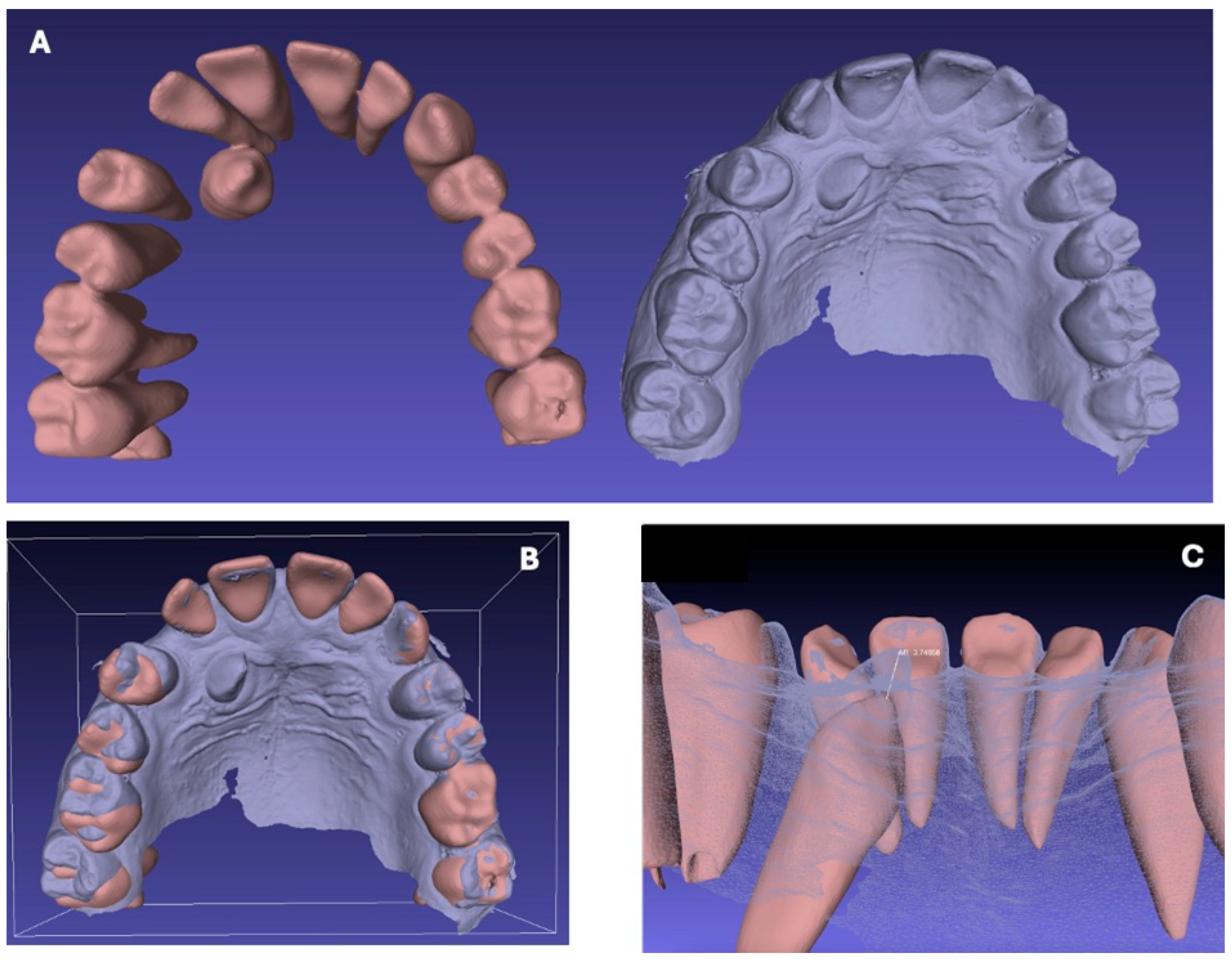 Dentistry 13 00399 g005
